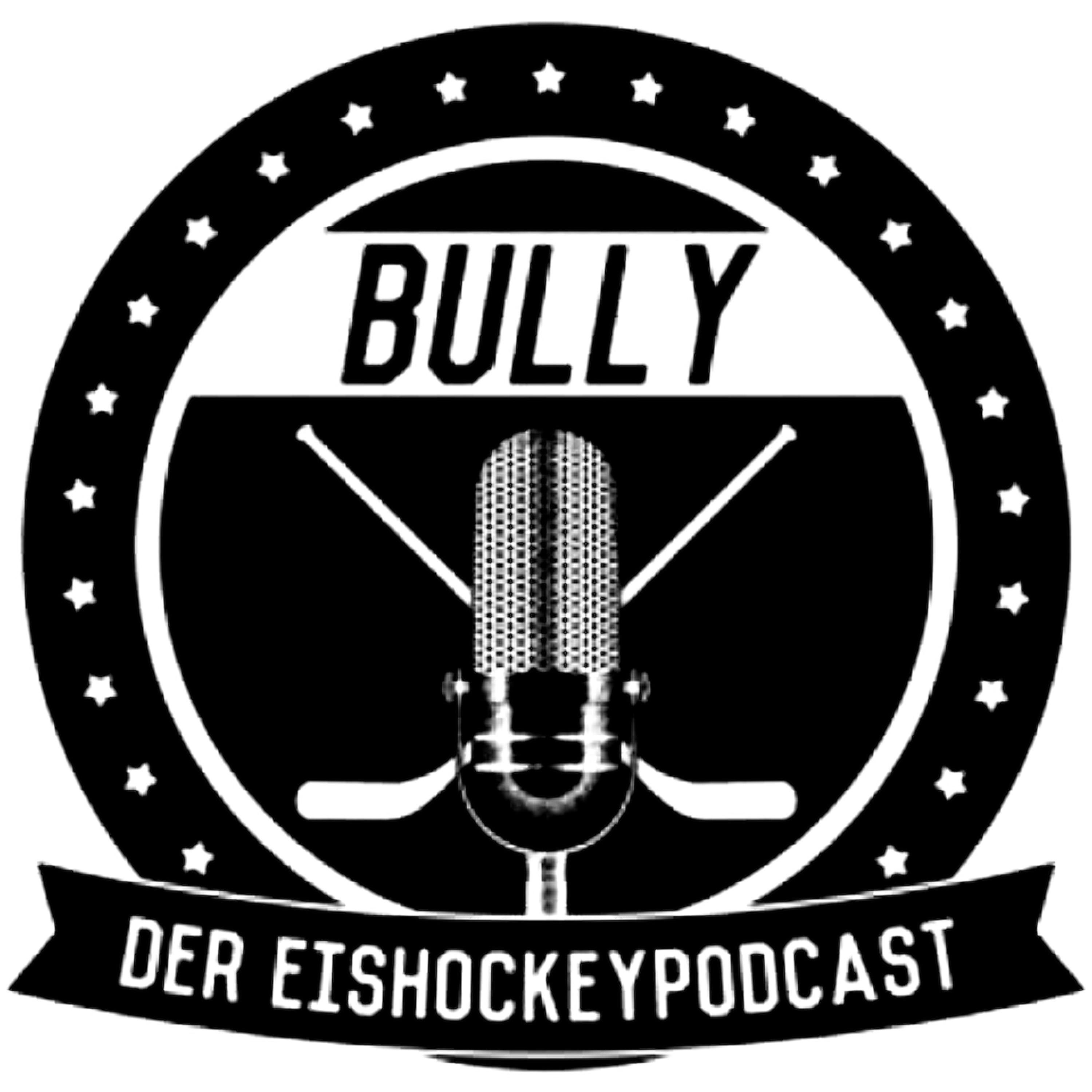 Bully #133 mit Matthias Fleig