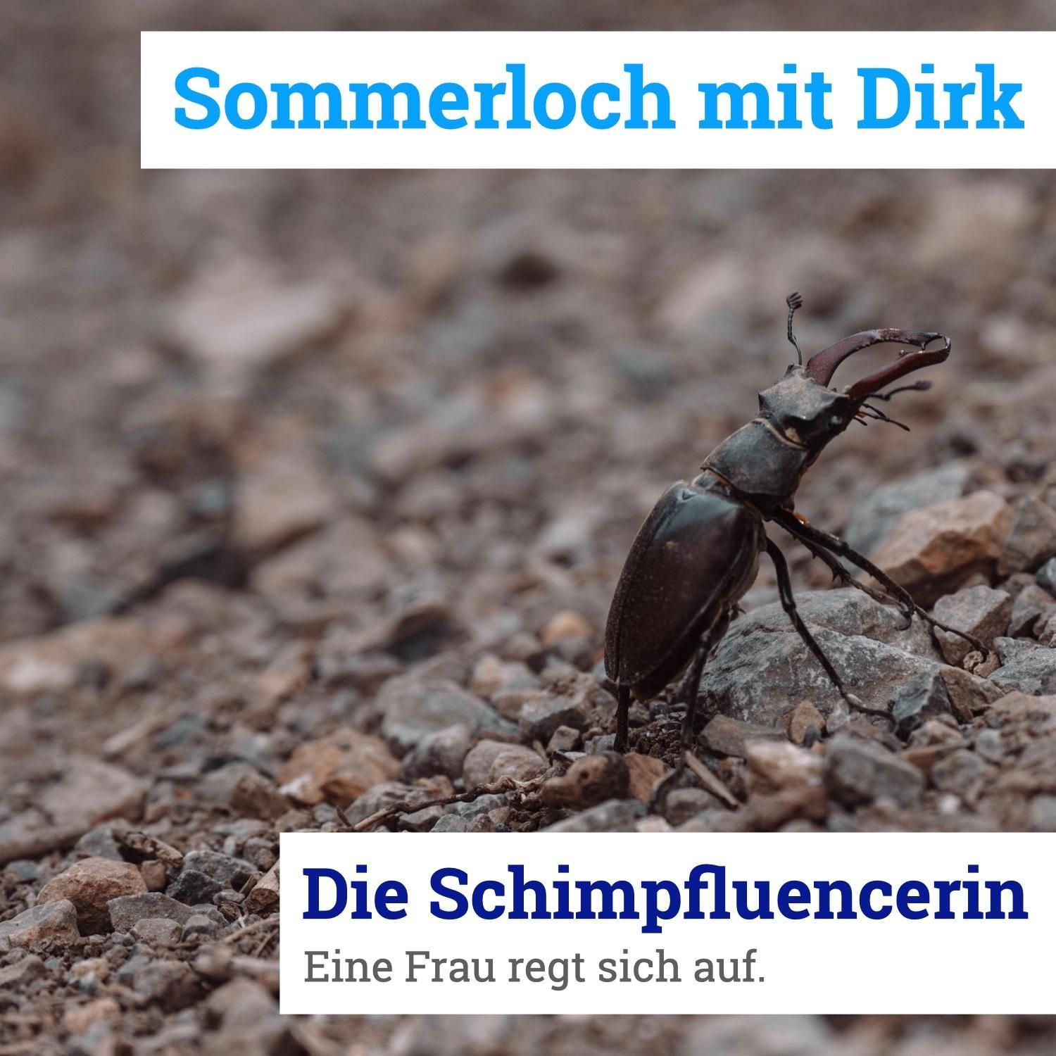 080: Sommerloch mit Dirk