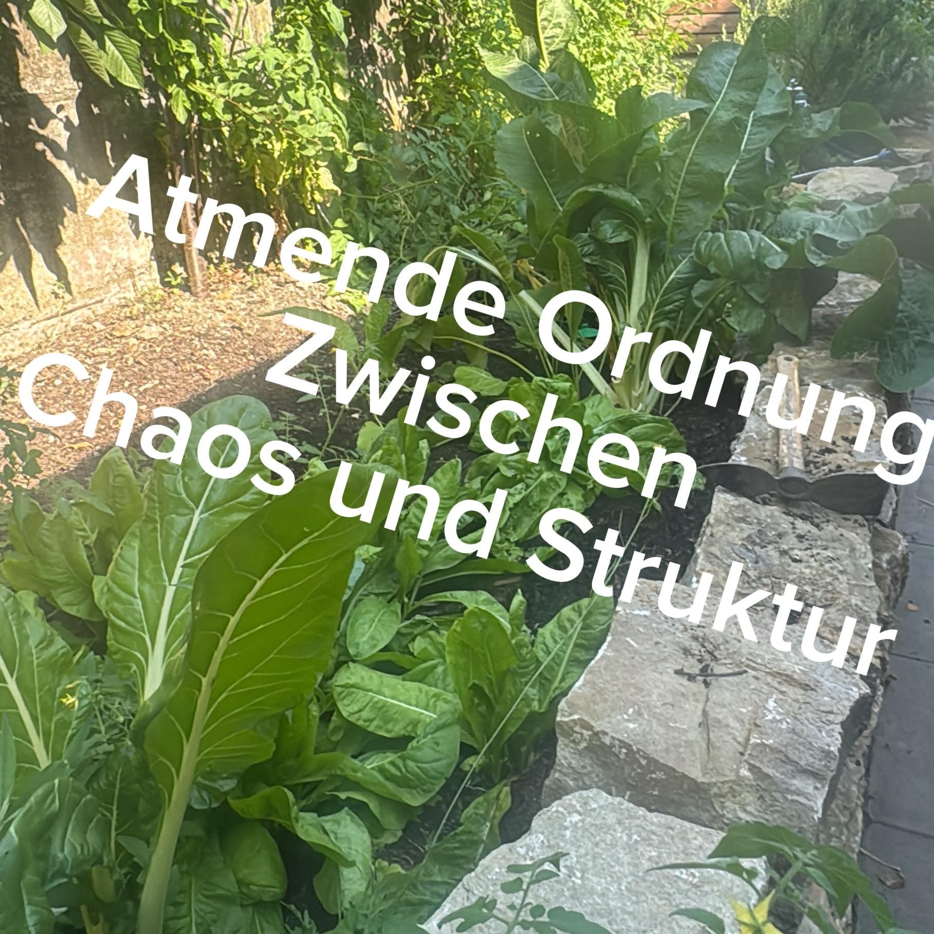 56 Ordnung und Unordnung in Verbindung mit persönlichen Reflexionen aus der Homöopathie. Im Zentrum steht eine „atmende“ Ordnung als flexibles Gleichgewicht zwischen Chaos und Struktur, Festhalten und Loslassen.