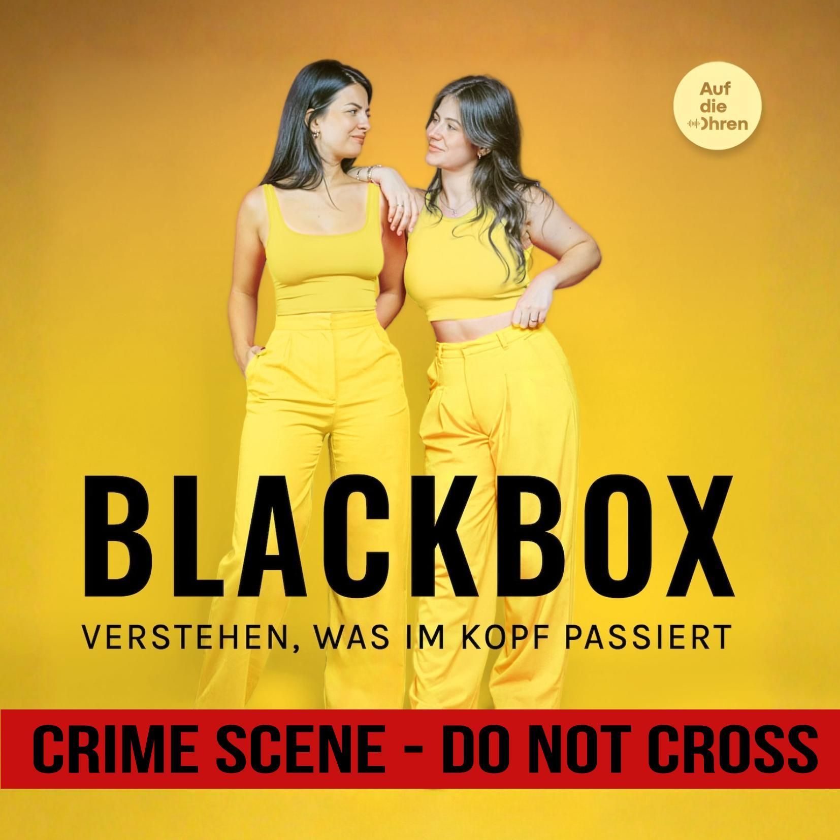 BlackBox #201 - Die Monster, die wir schufen - die Entmenschlichung des Jeffrey Dahmer (Part 2)