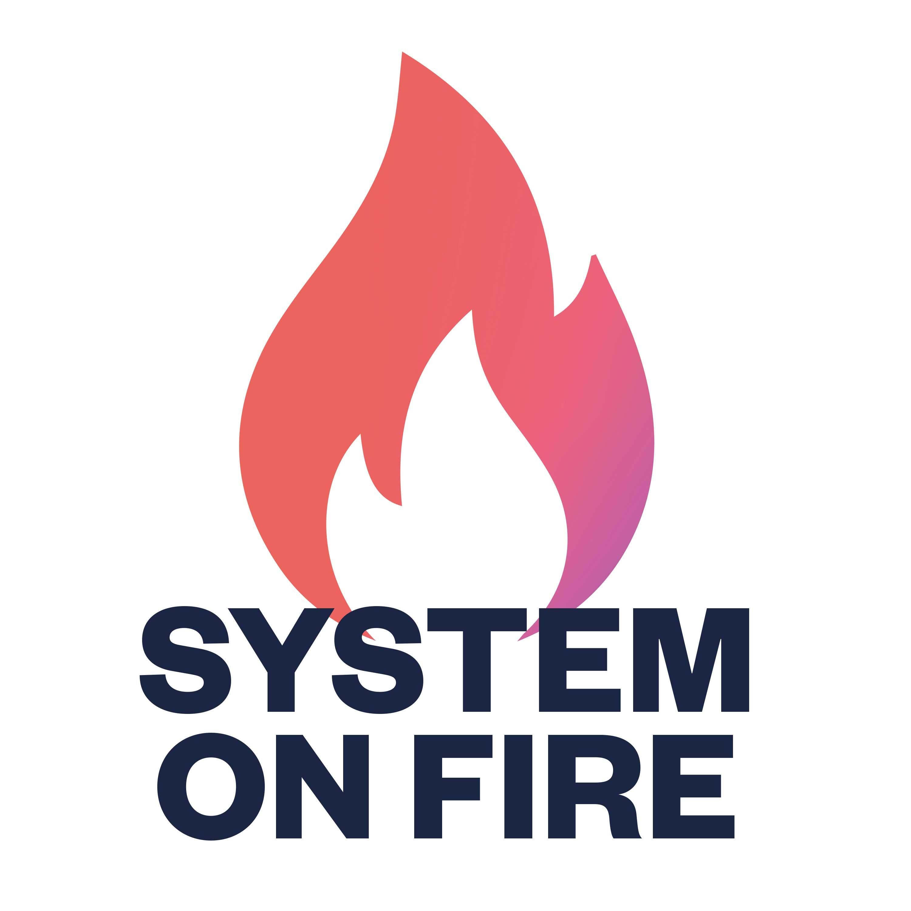 System on Fire