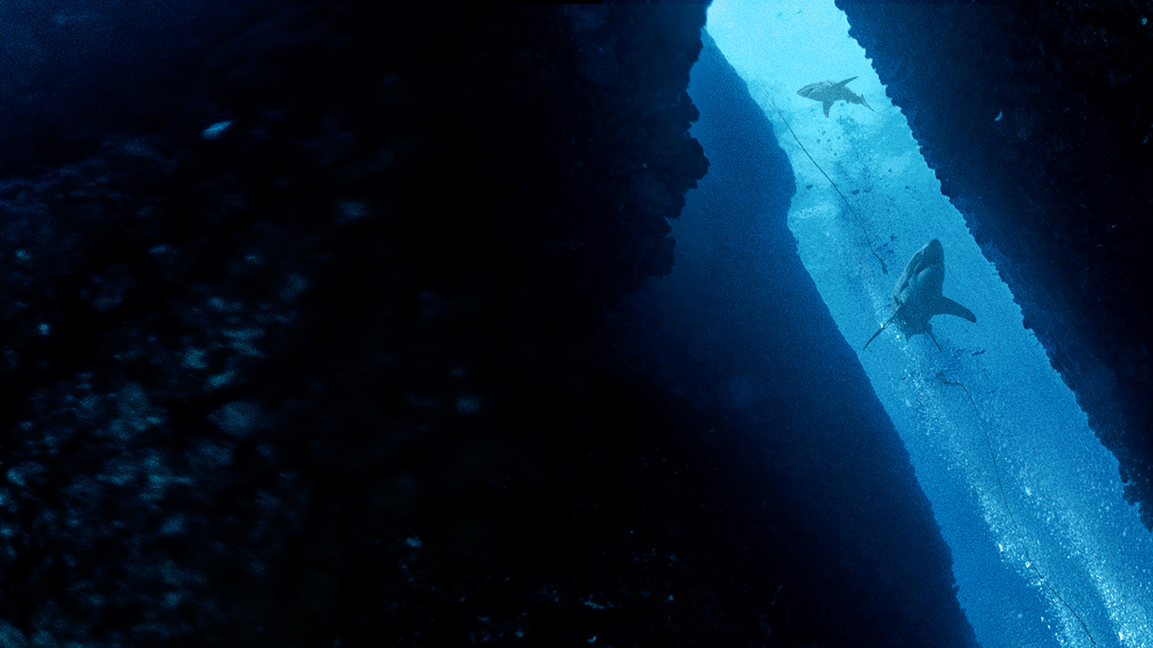 47 Meters Down