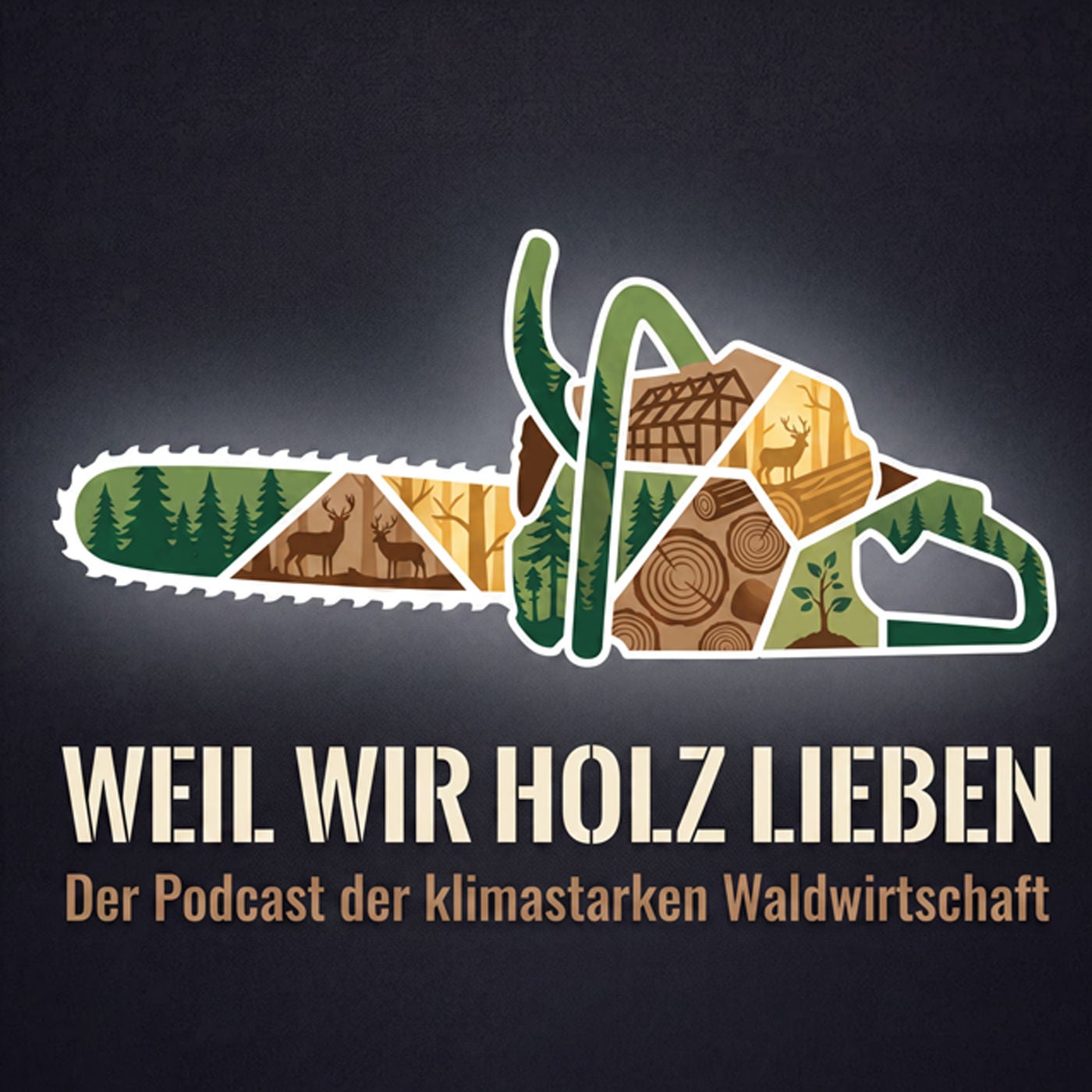 WEIL WIR HOLZ LIEBEN Der Podcast der klimastarken Waldwirtschaft