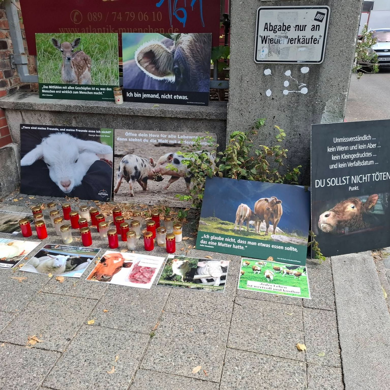 Ein Licht der Hoffnung