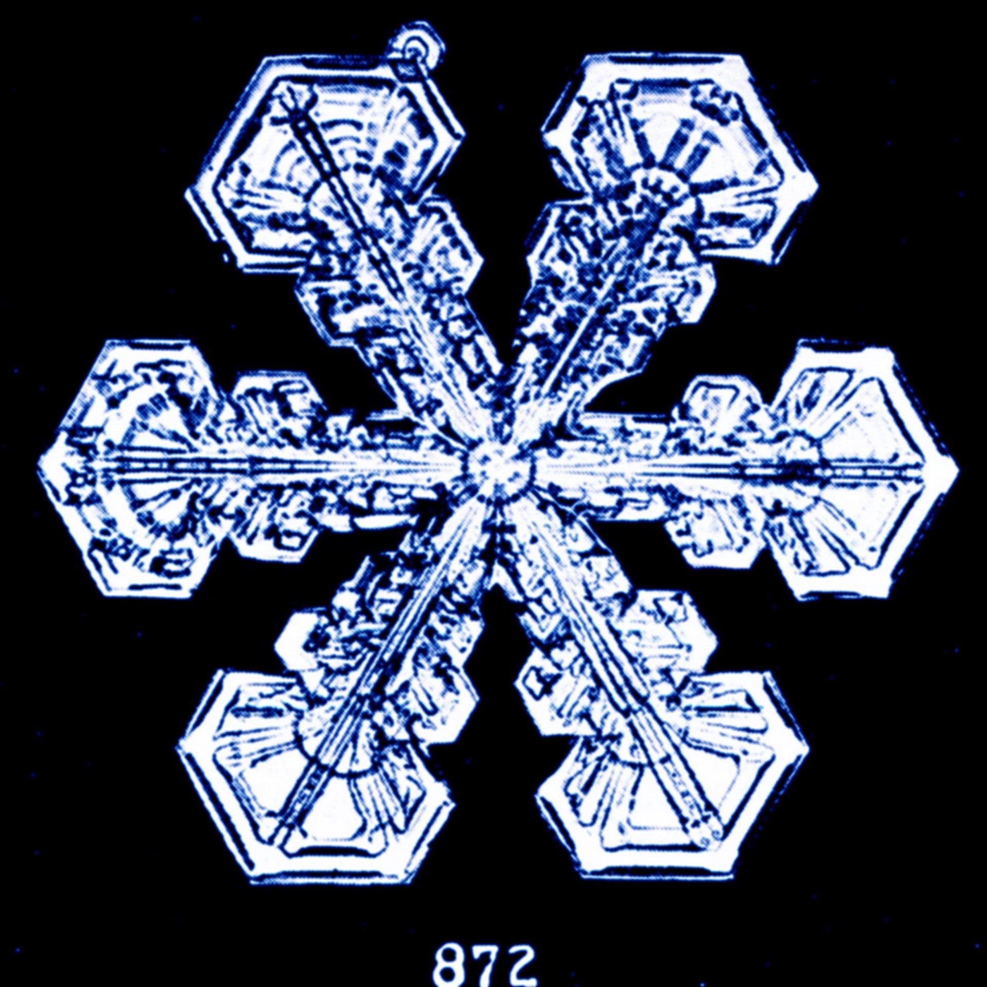 01.02.1879: Johann Heinrich Flögel fotografiert eine Schneeflocke