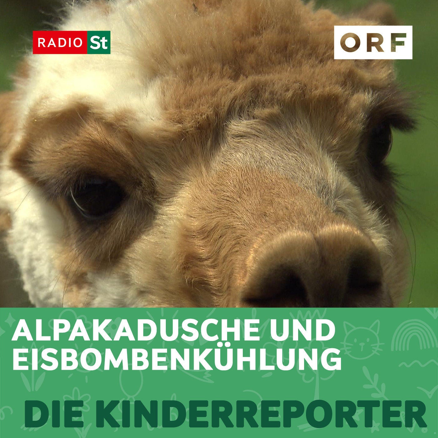 Alpakadusche und Eisbombenkühlung