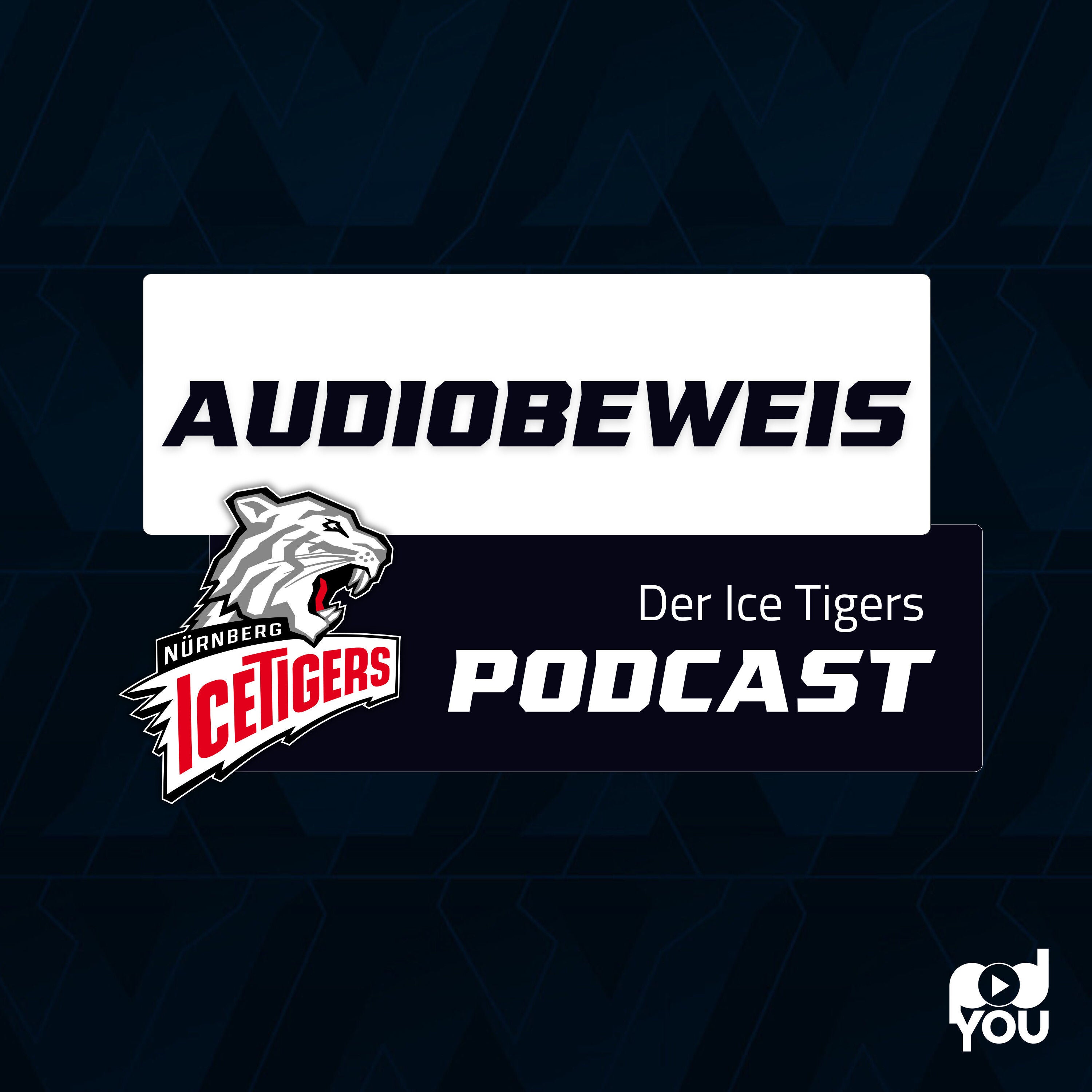 AUDIOBEWEIS - Der Summer-Talk Teil II