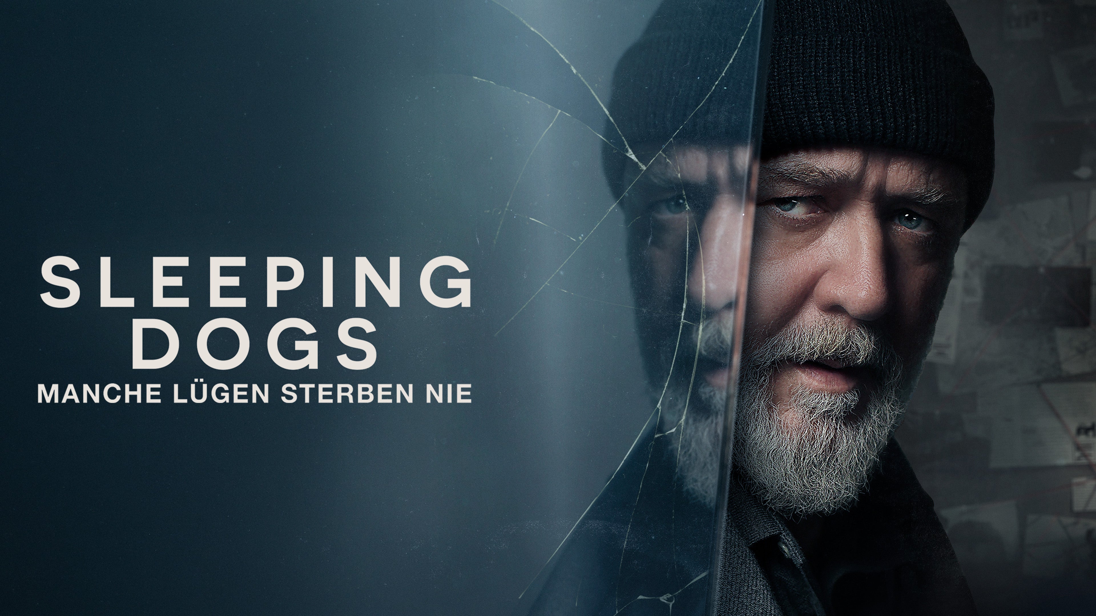 Sleeping Dogs - Manche Lügen sterben nie