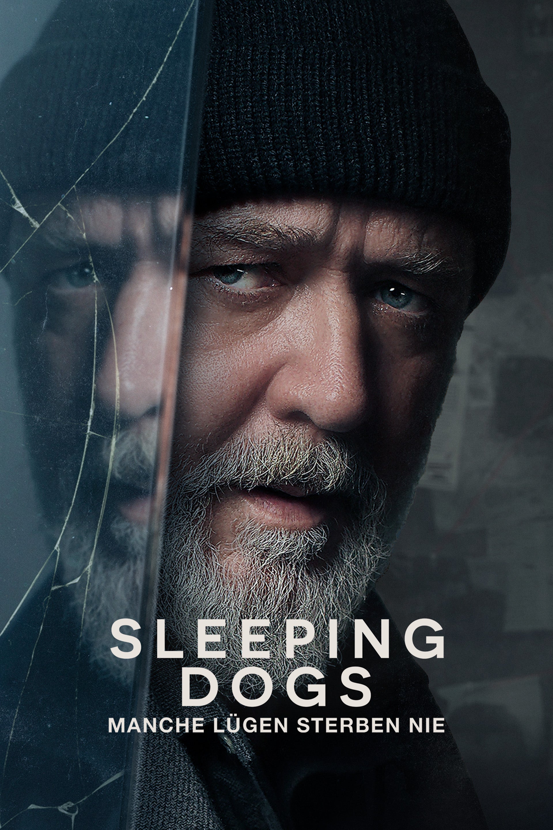 Sleeping Dogs - Manche Lügen sterben nie