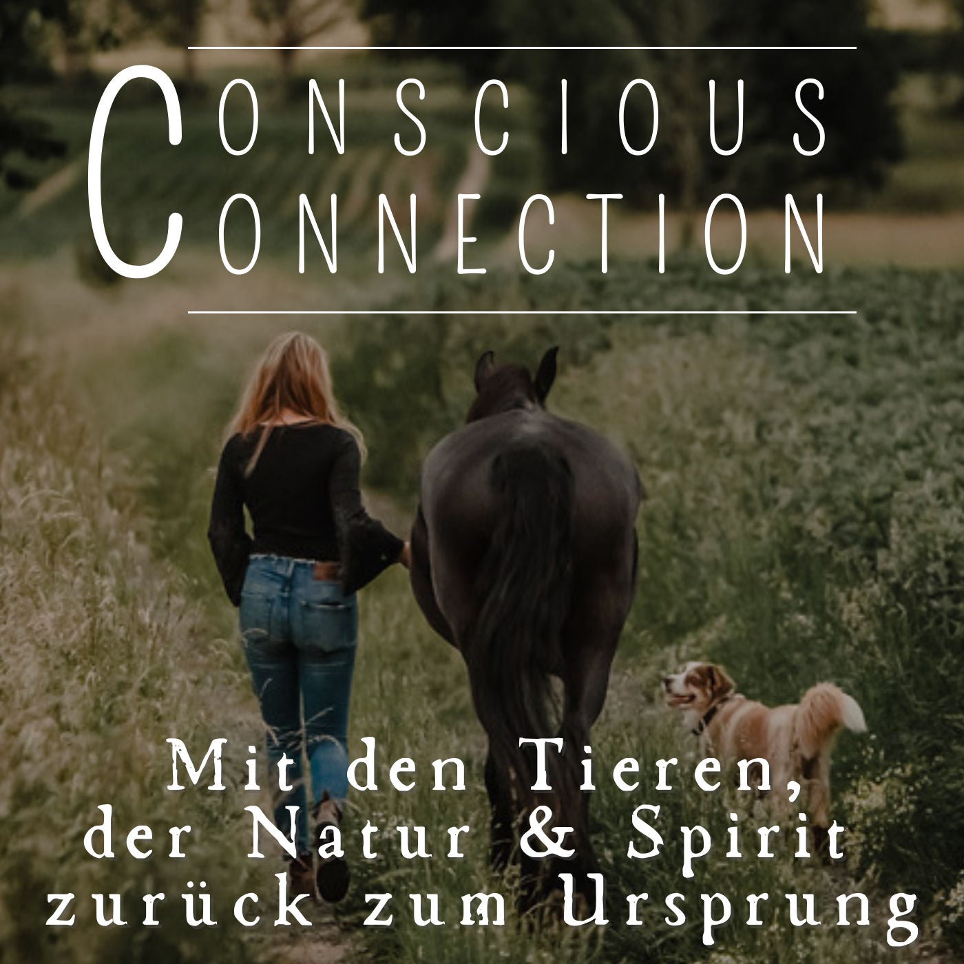 #23 Über die Beziehung der Planeten in deinem Horoskop & Initiierungen durch die Sterne