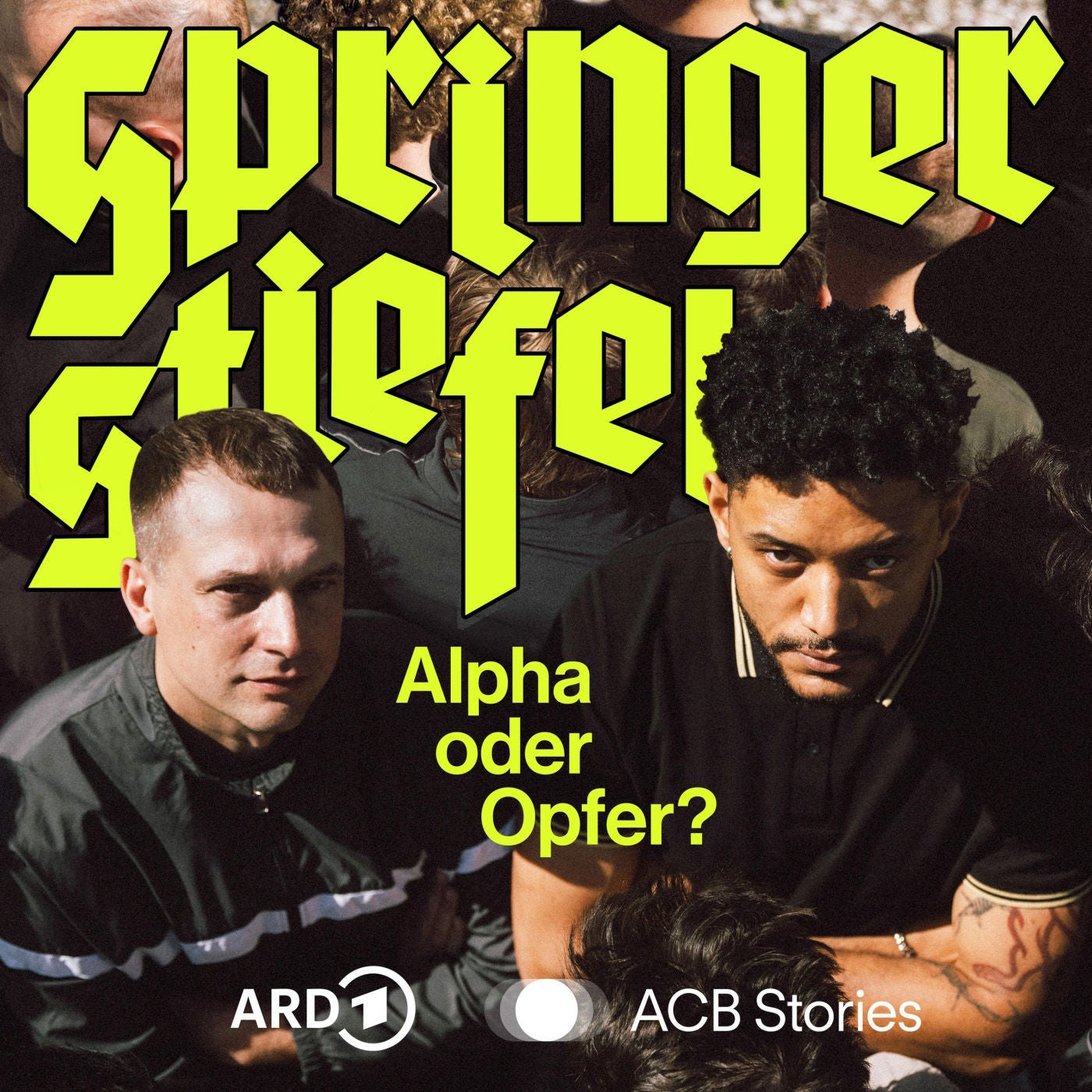 Alpha oder Opfer? Ganz normale Jungs!