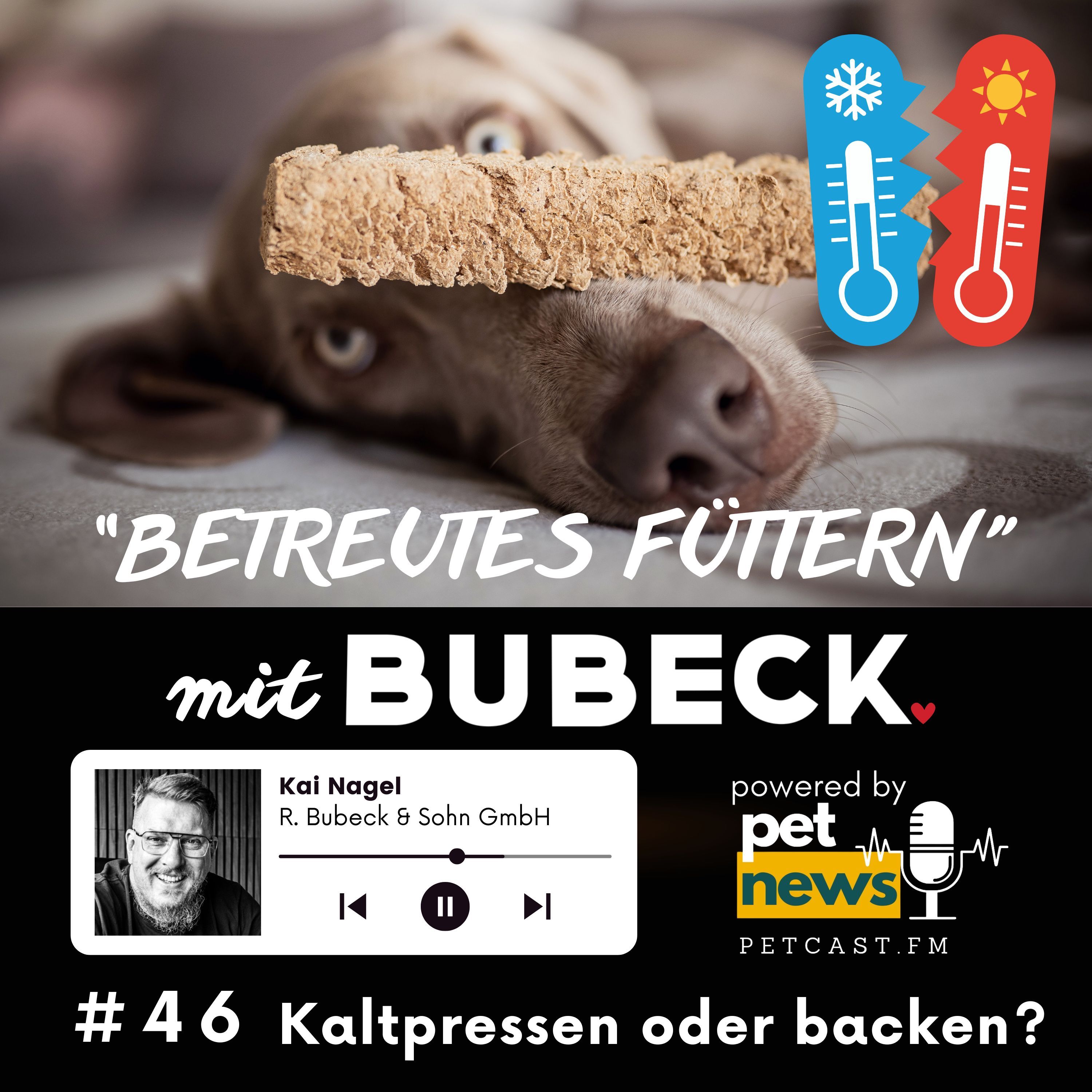 #46 - Kaltgepresstes- oder gebackenes Hundefutter