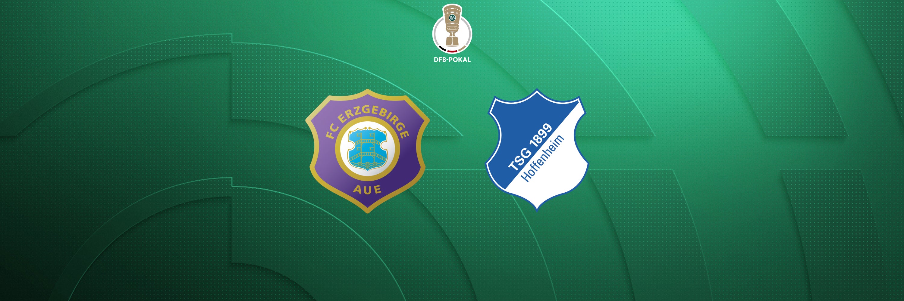 Erzgebirge Aue - TSG 1899 Hoffenheim, 1. Runde
