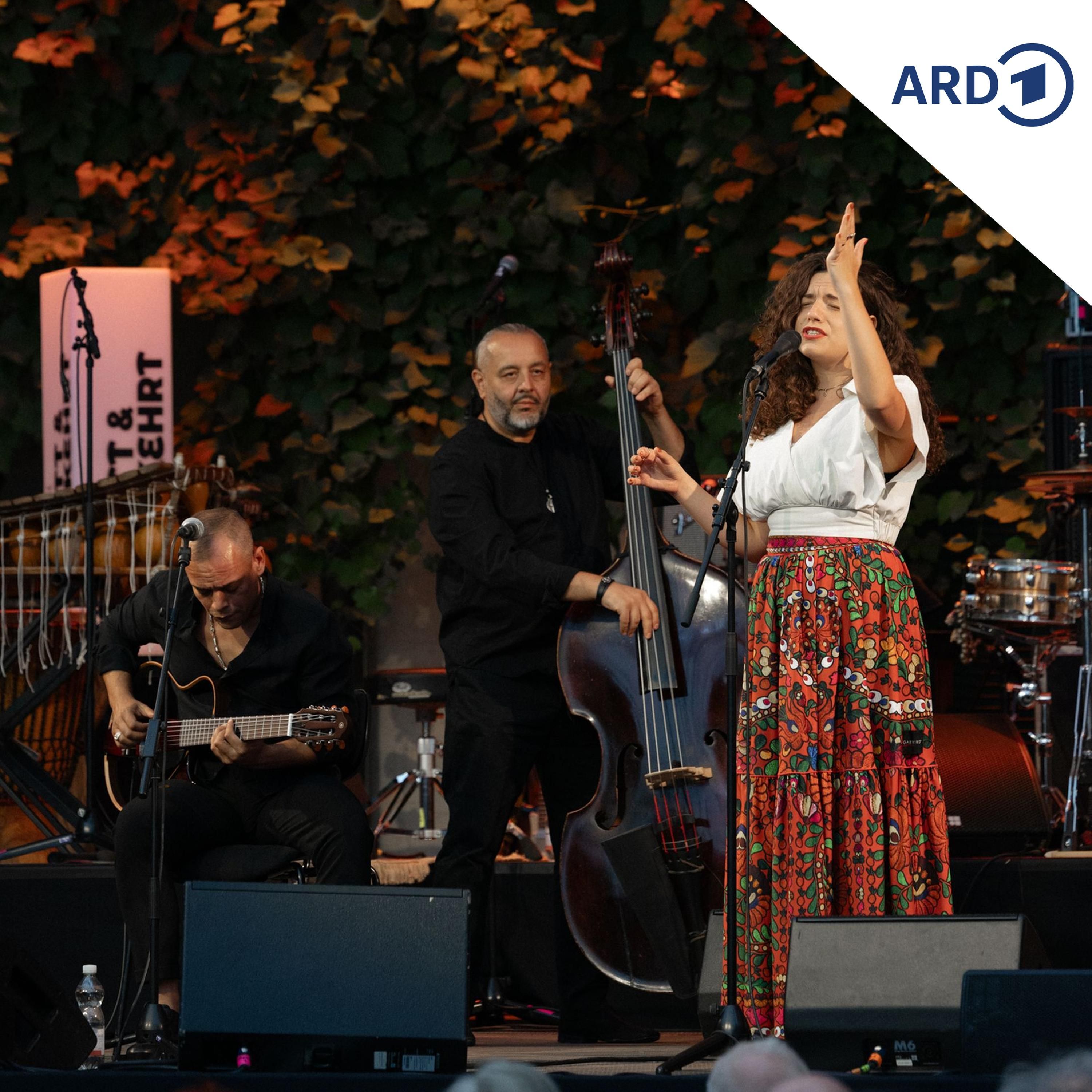 Winzer, Weltmusik und Wienerlied