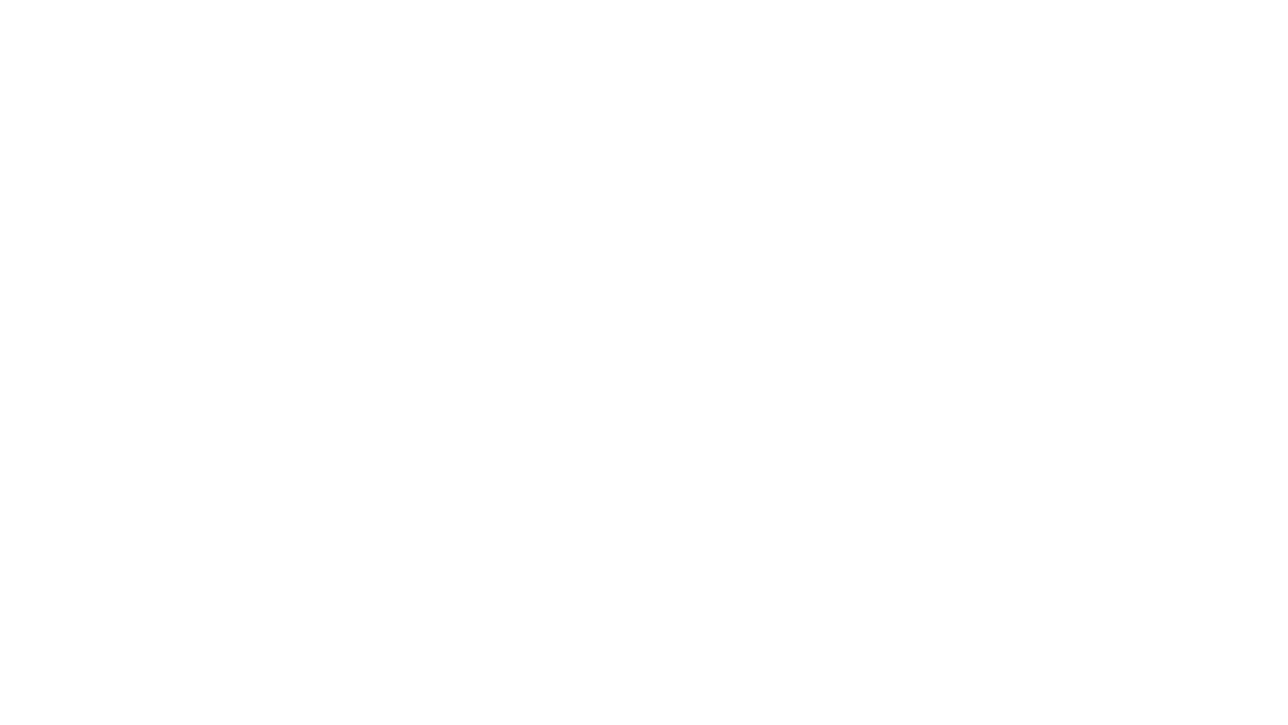 stern Investigativ