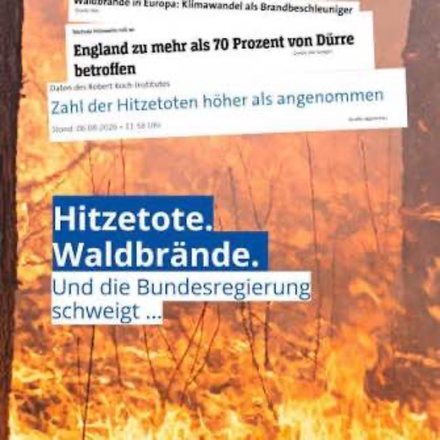 12.000 Hitzetote - endlich handeln!