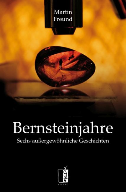 [Podcast] Rezension: Bernsteinjahre - Martin Freund