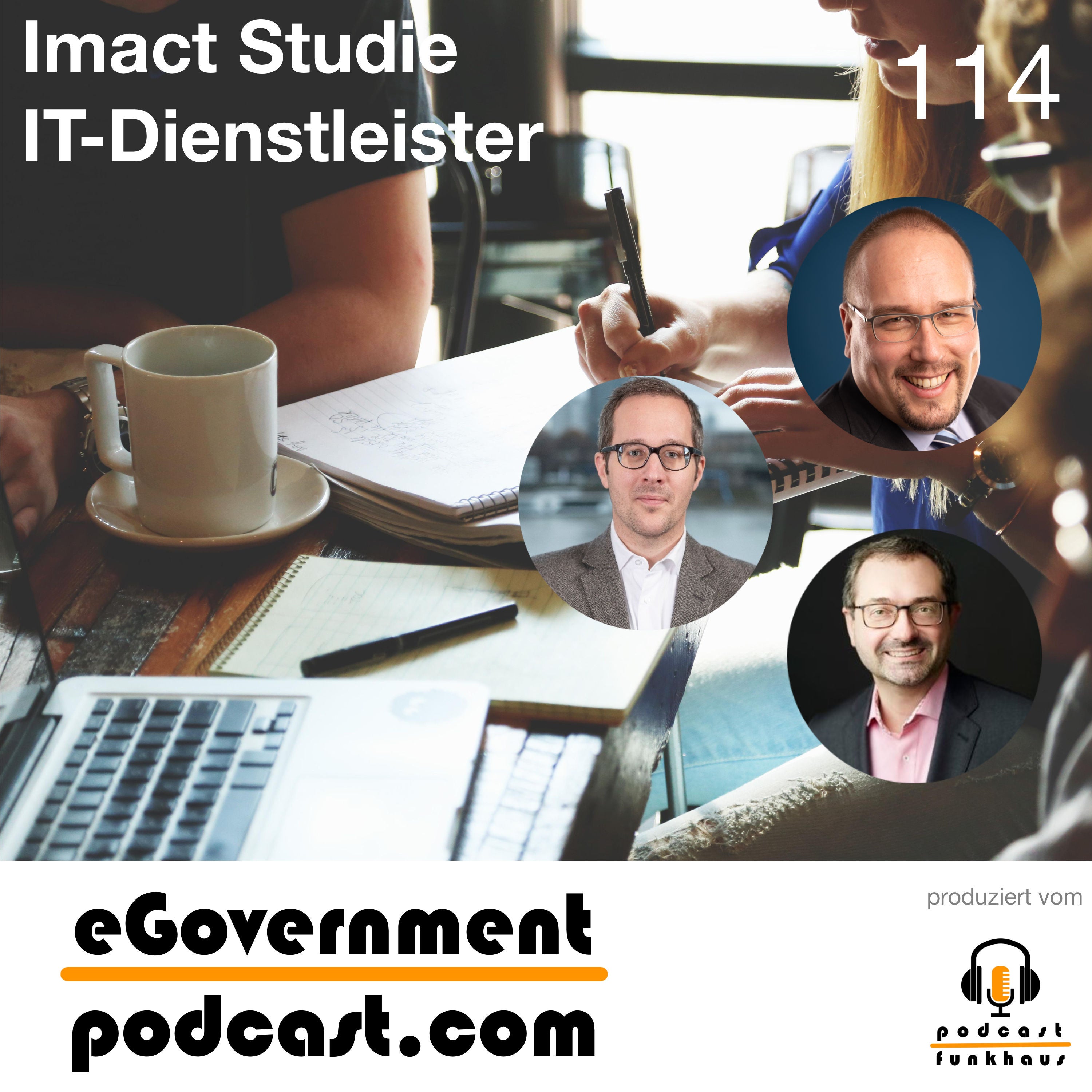 VITAKO - Impact Studie - Kommunale IT-Dienstleister