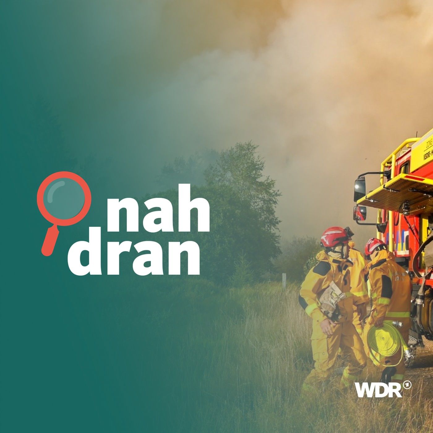 Flammen und giftiger Rauch in NRW: Sind Waldbrände das neue Normal? I nah dran