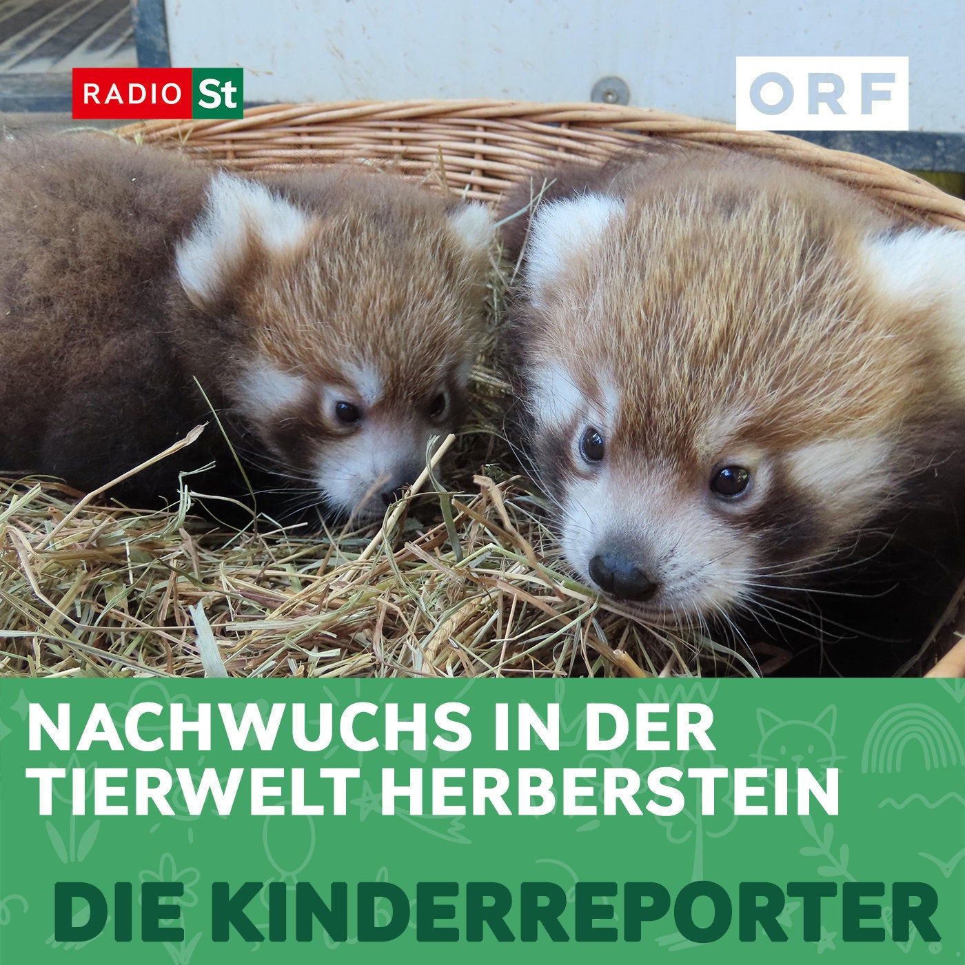 Nachwuchs in der Tierwelt Herberstein