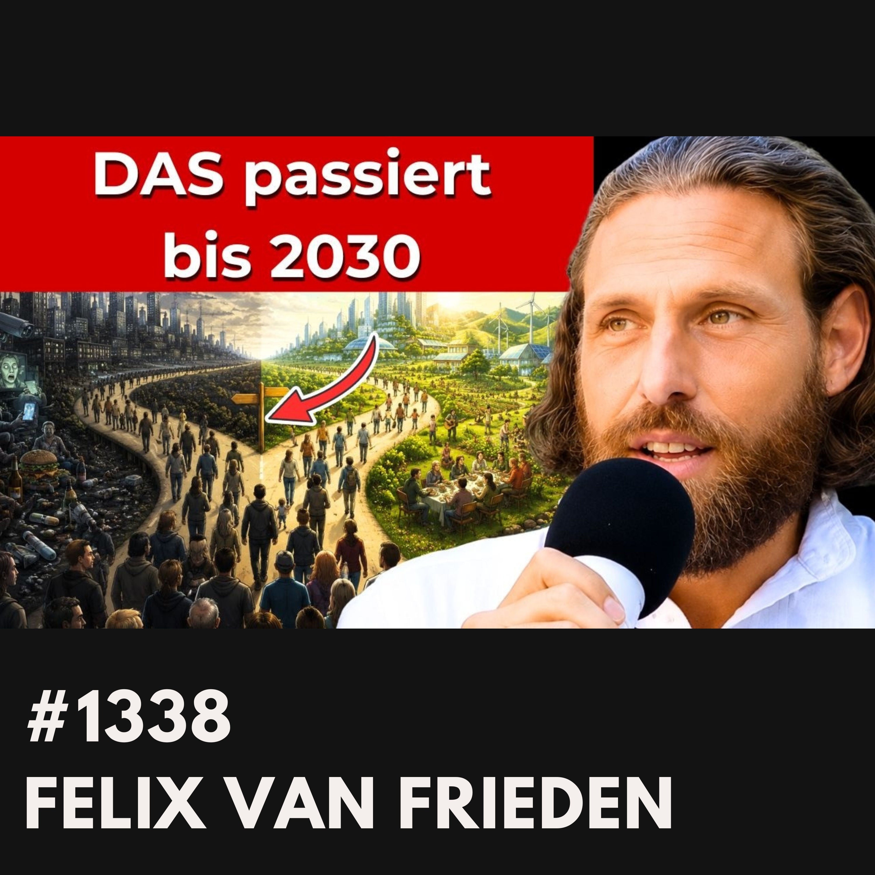 DAS passiert bis 2030? | Felix van Frieden #1338