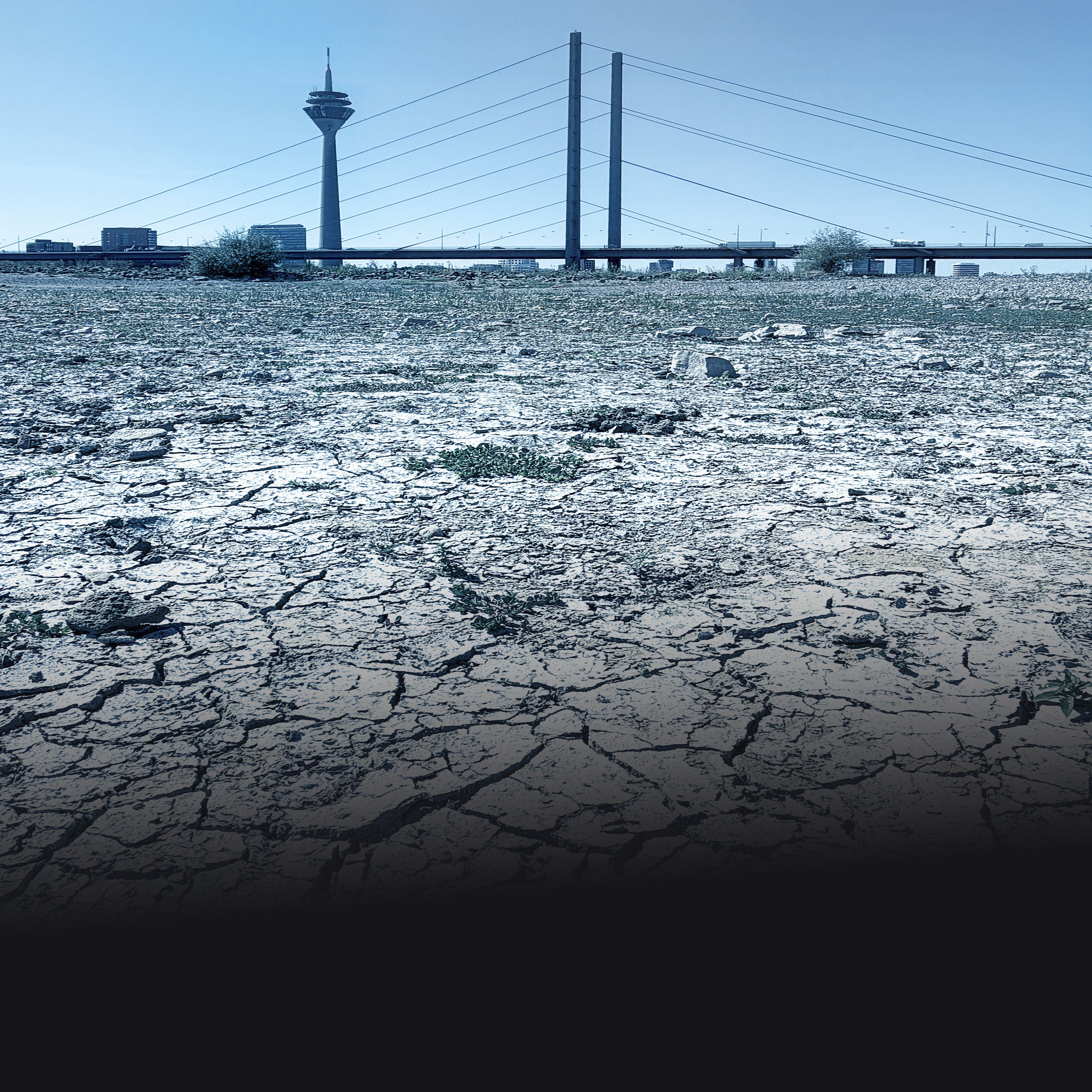 Dürre, Brände, Hitzetote: Weckruf für die Klimapolitik?
