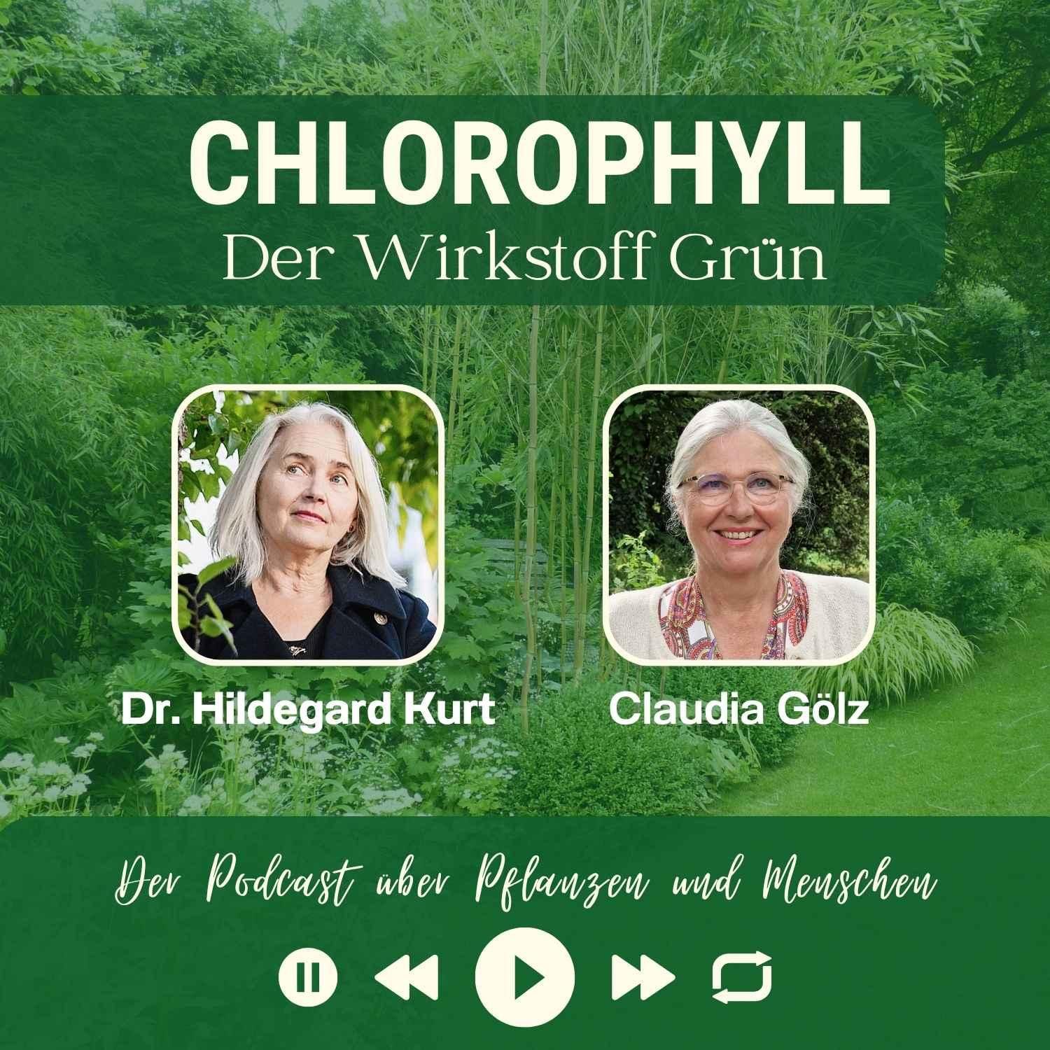 # 61 – Kulturwissenschaftlerin Dr. Hildegard Kurt