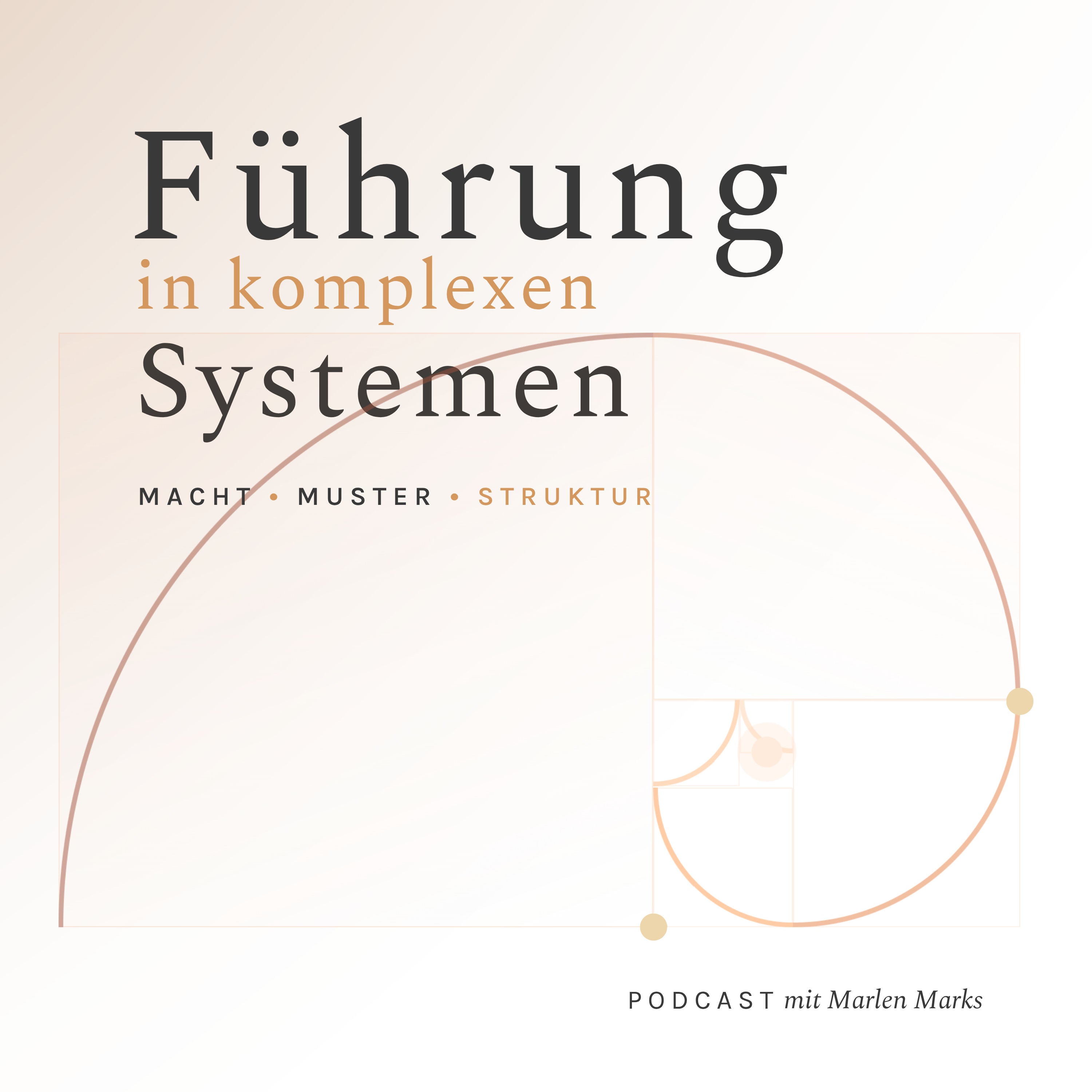 Führung in komplexen Systemen