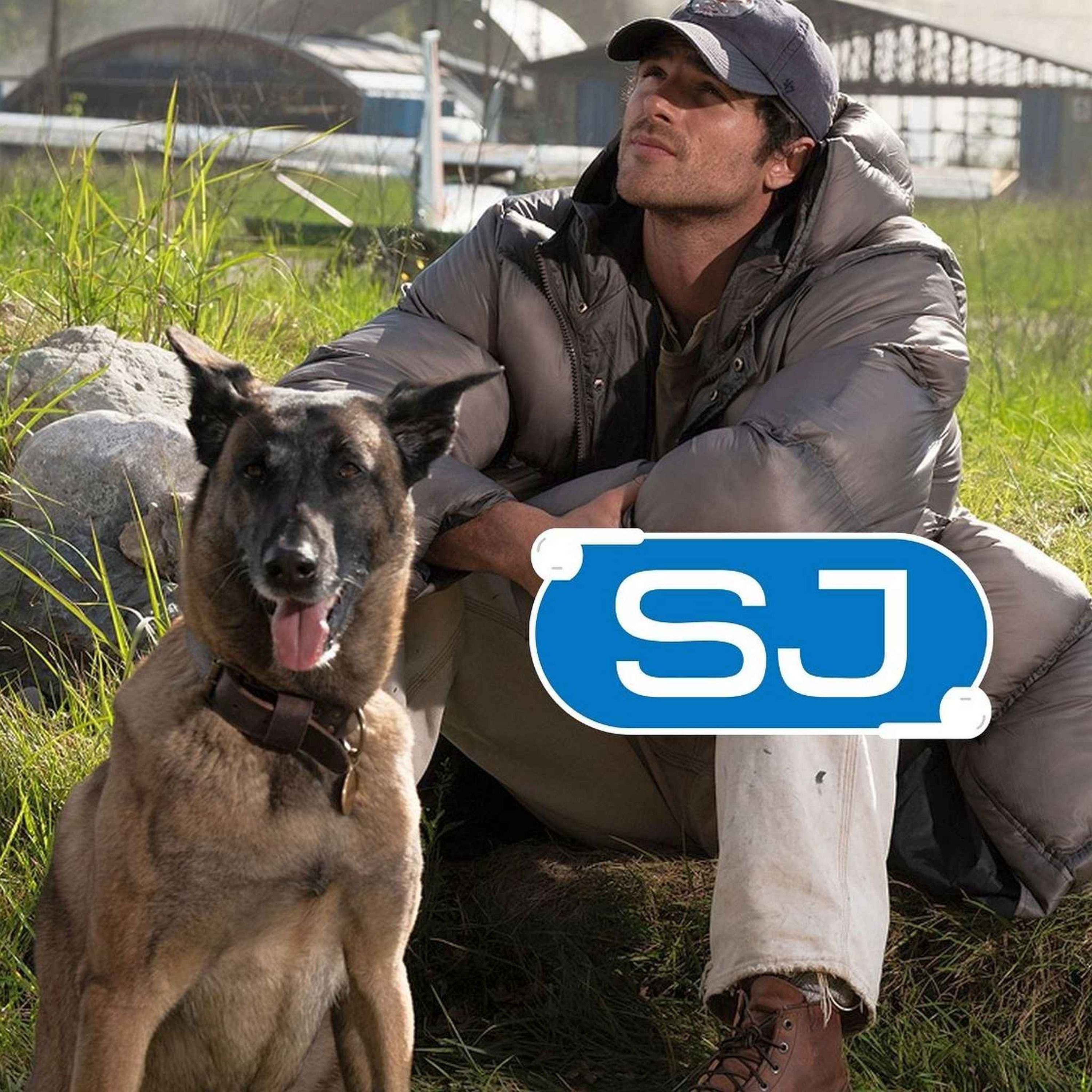 SJ Weekly: Warum sind jetzt alle auf den Hund gekommen?