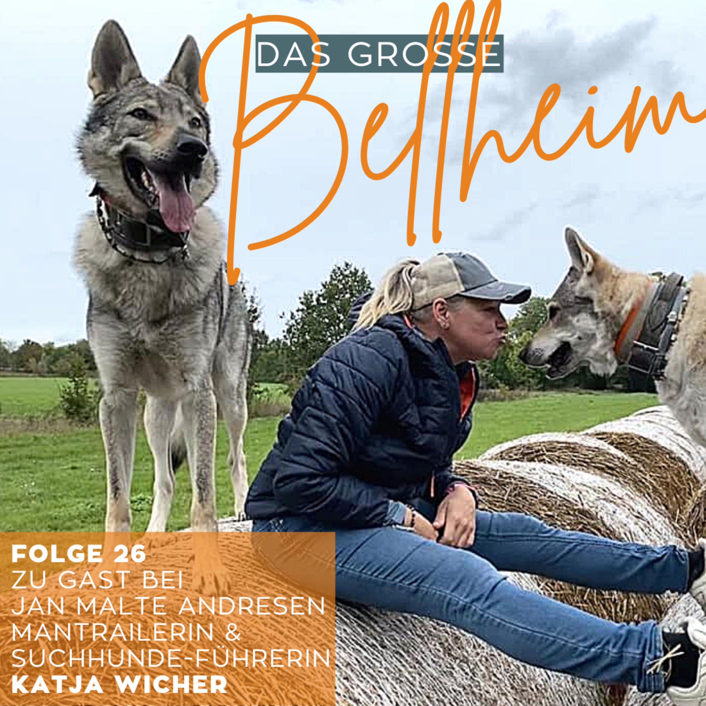 #26 - Katja Wicher - Wenn der Hund mal weg ist