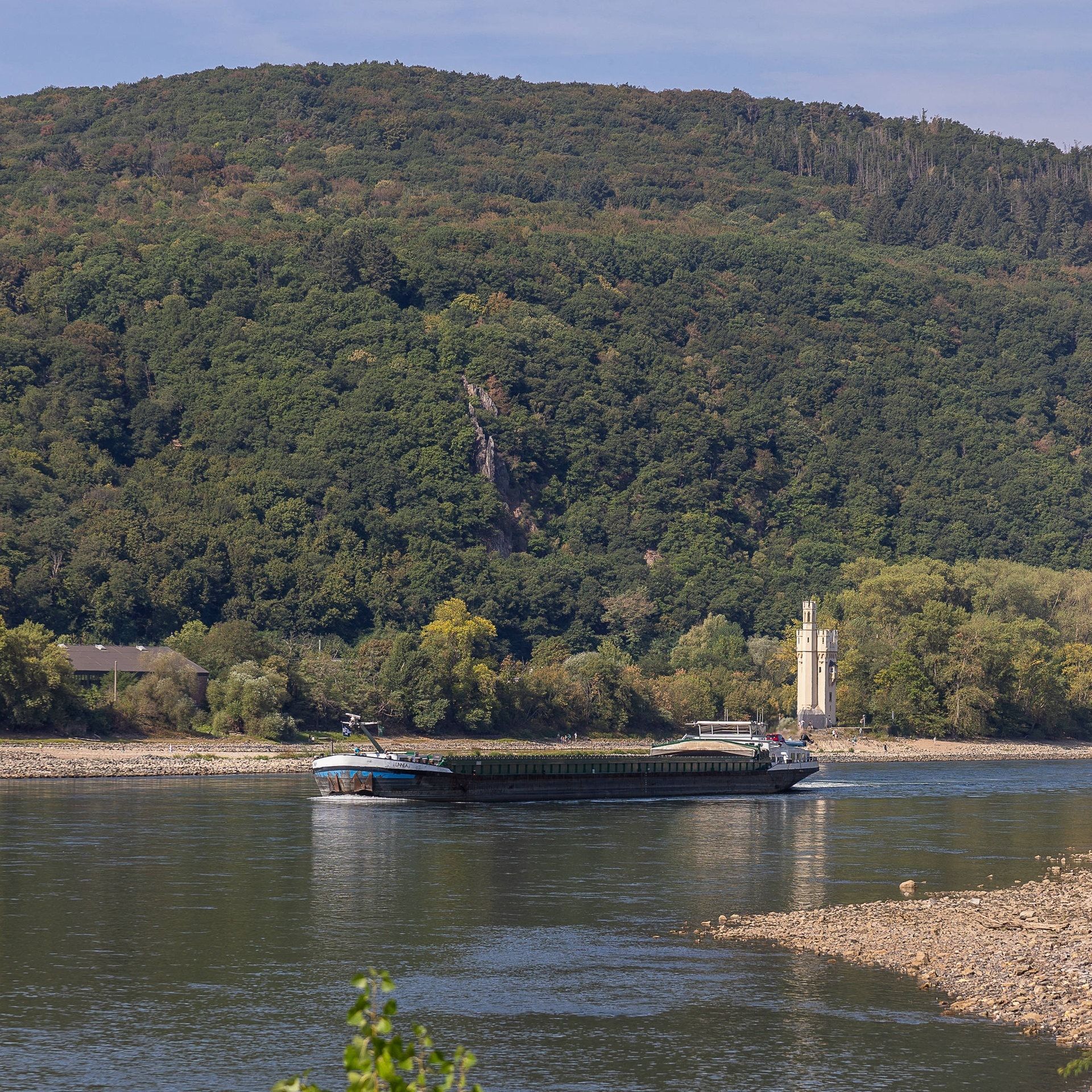 Niedrigwasser: Warum sind die Pegelstände im Rhein so unterschiedlich?