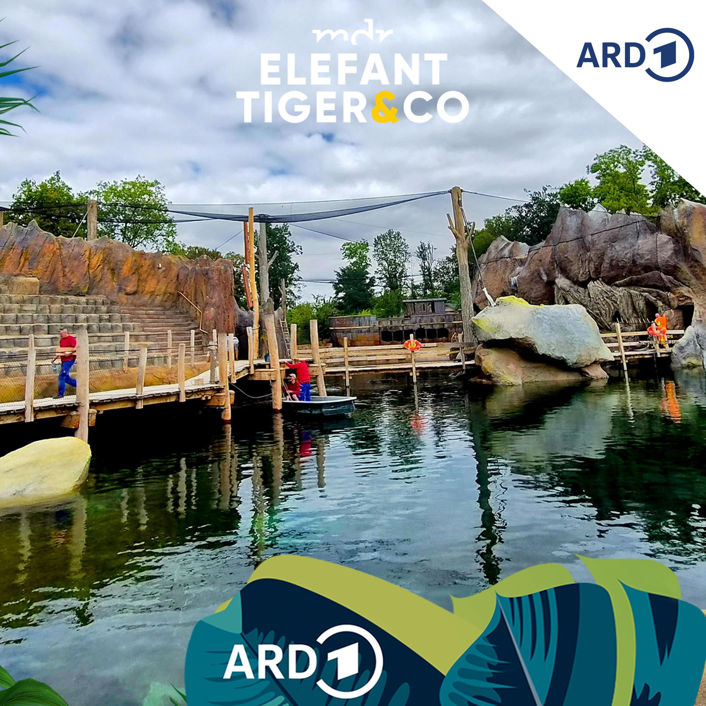 Countdown für Feuerland im Zoo Leipzig