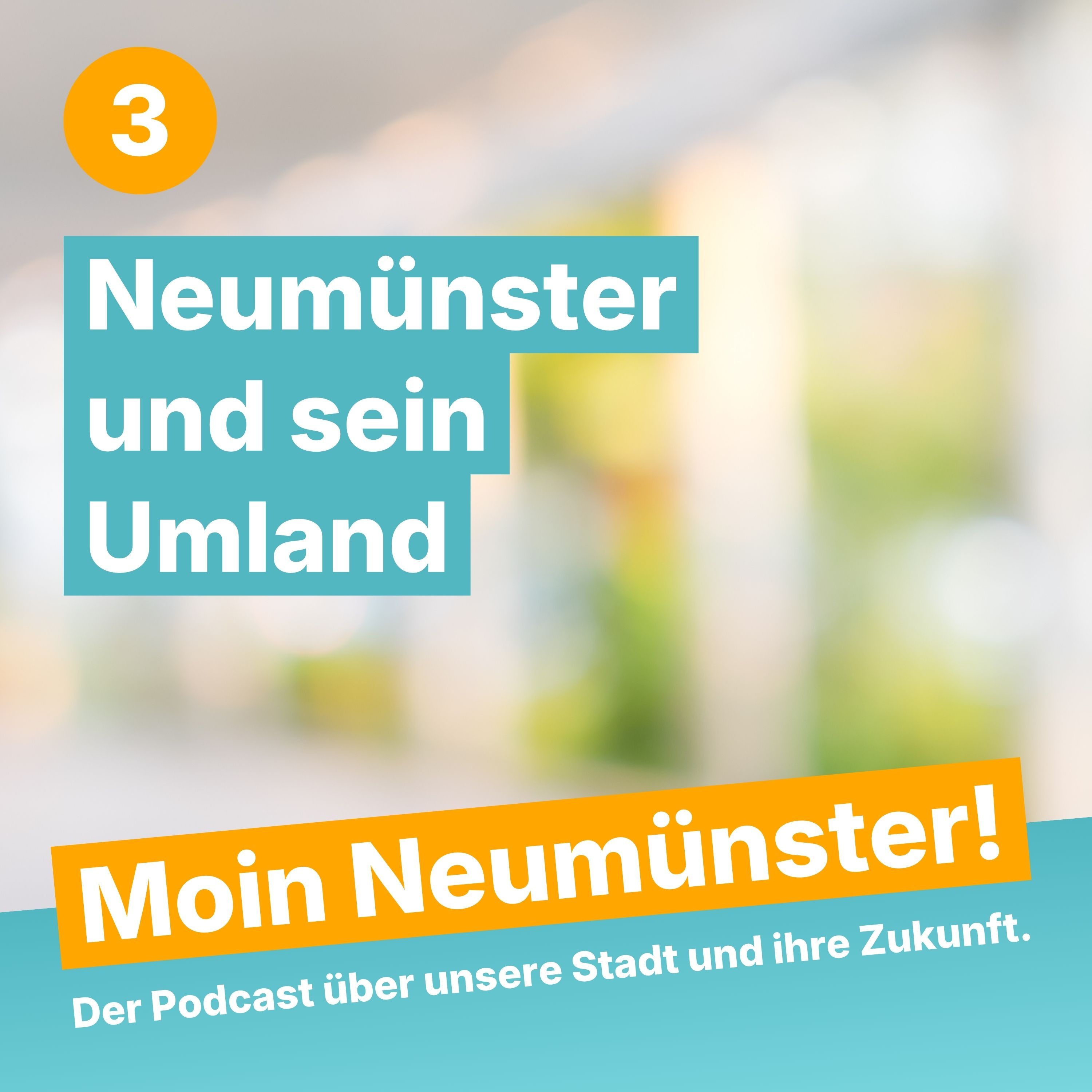 Moin Neumünster (3) – Neumünster und sein Umland