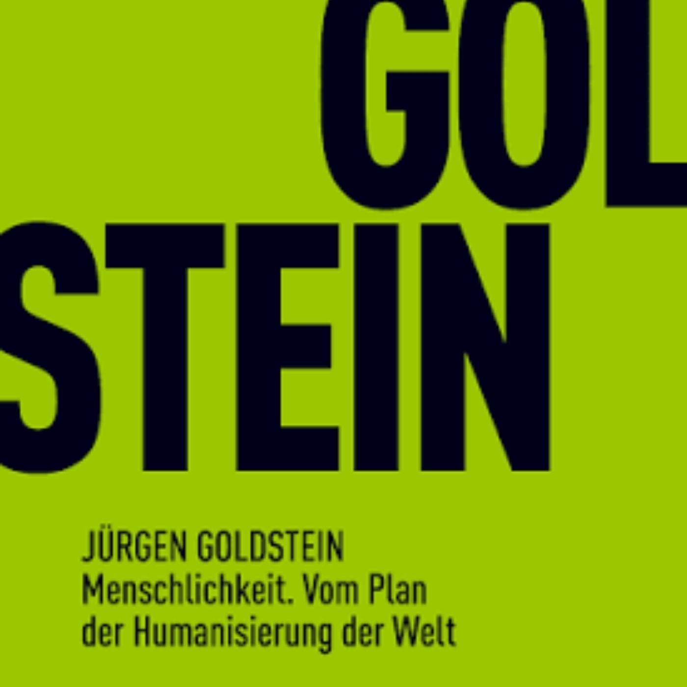 Menschlichkeit. Vom Plan der Humanisierung der Welt