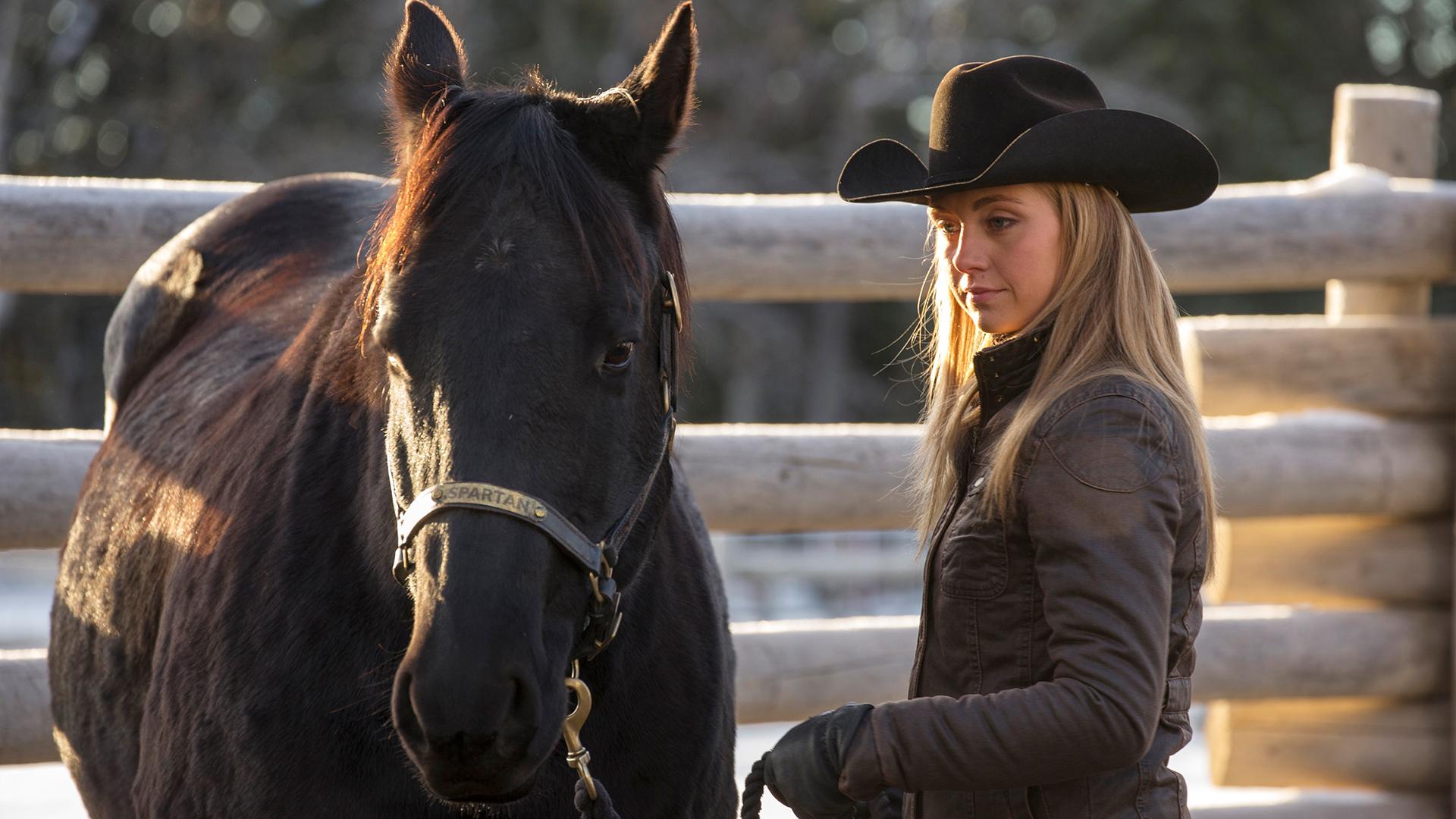 Heartland - Paradies für Pferde