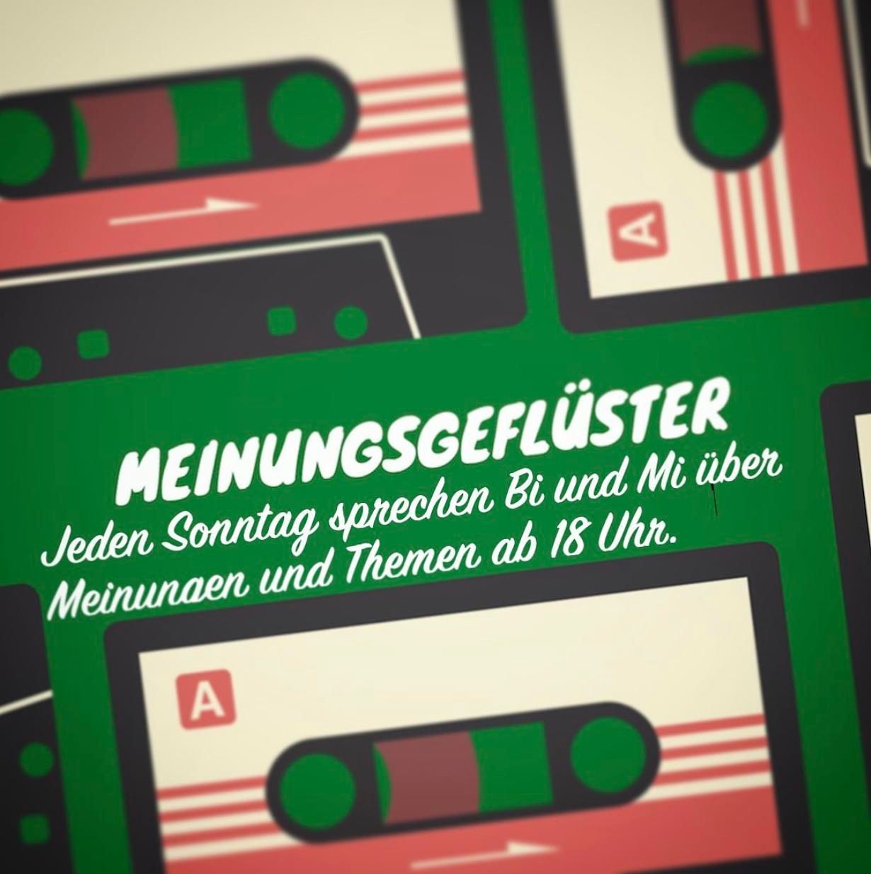 #9 Dialekt x Mundart / Sprache = OIDA!
