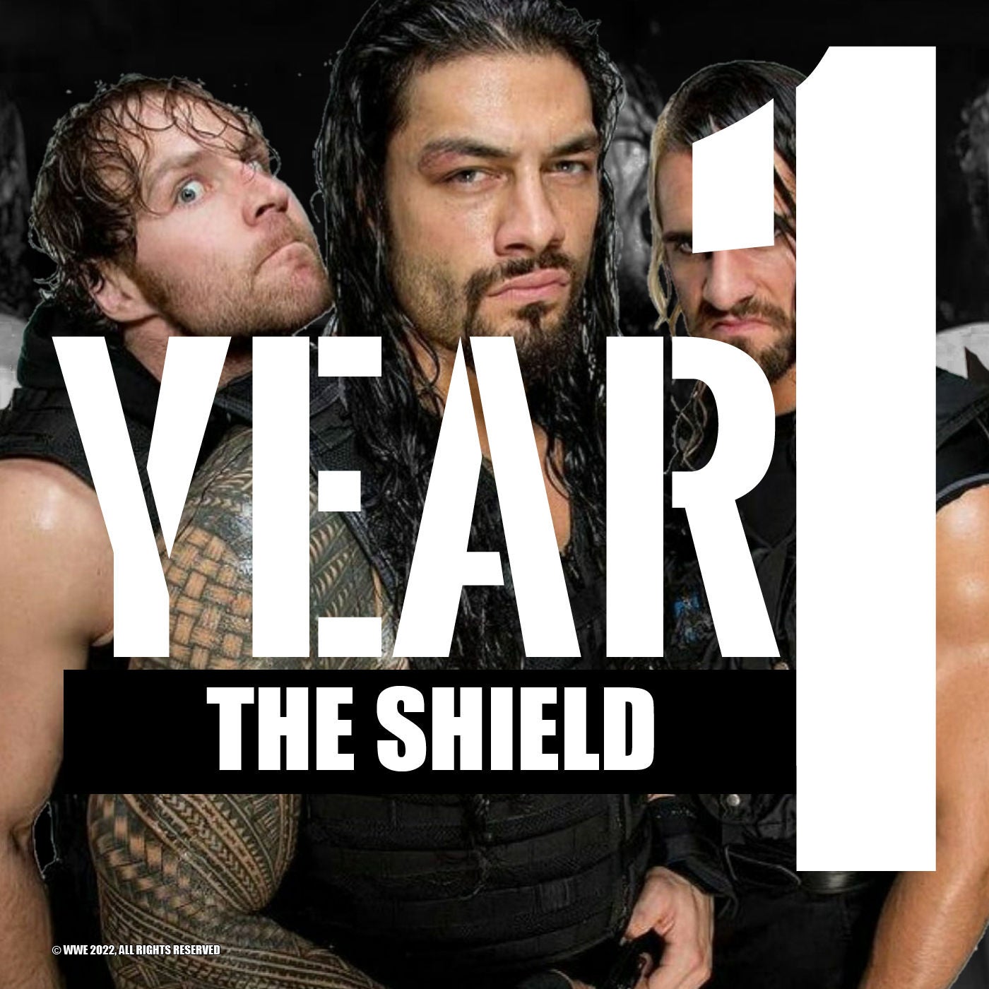 The Shield - YEAR 1 ⚡️ Die Anfänge von Roman Reigns, Seth Rollins und Dean Ambrose bei WWE