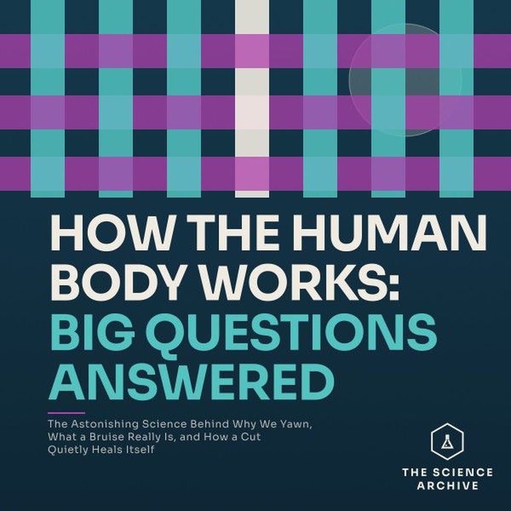 How the Human Body Works: Big Questions Answered
