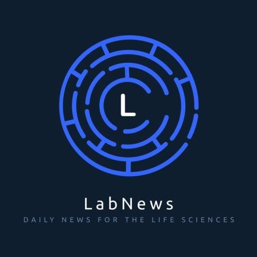 Systemtheorie: Warum LabNews Media LLC den US-Präsidenten umbenannte