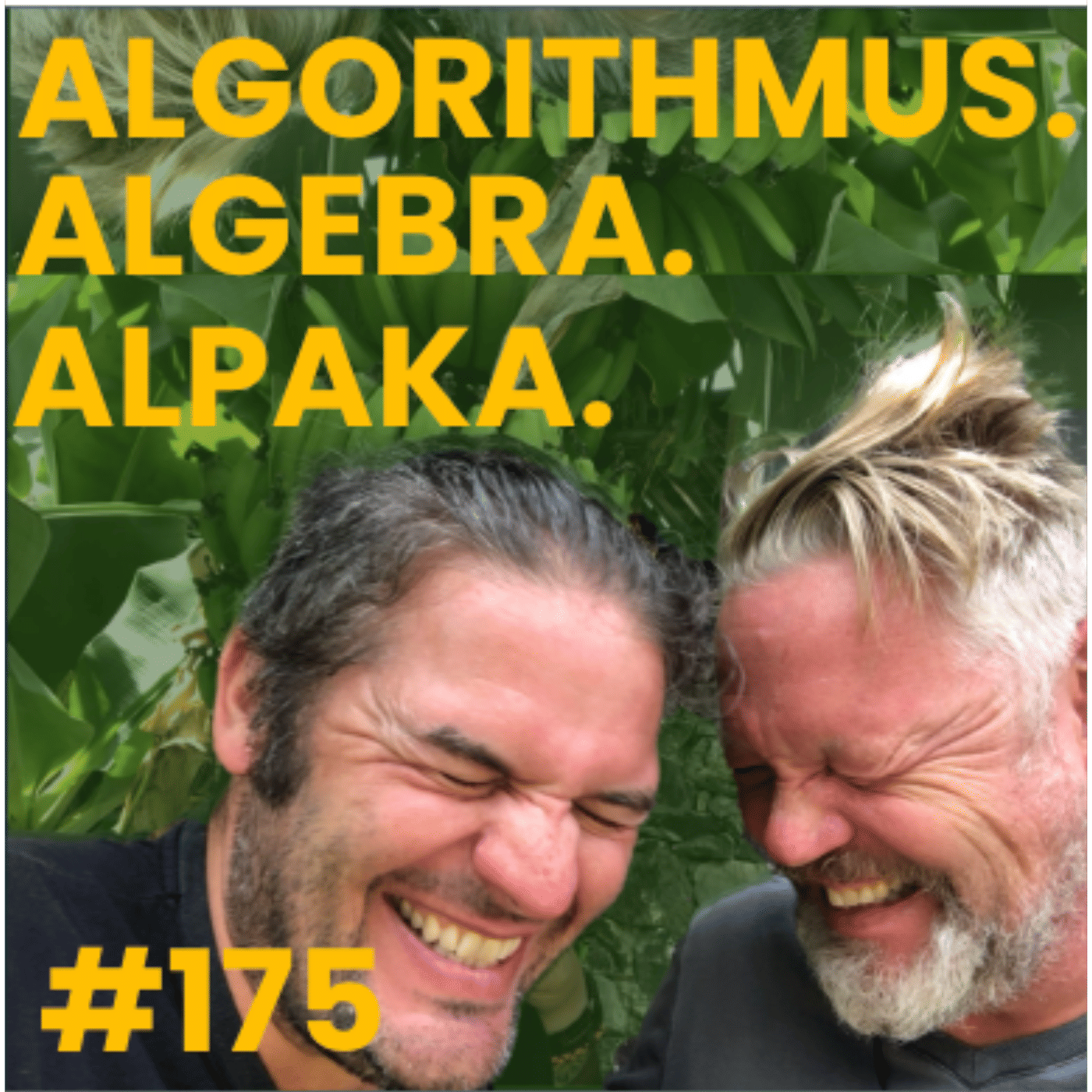 #175 Algorithmus. Algebra. Alpaka.