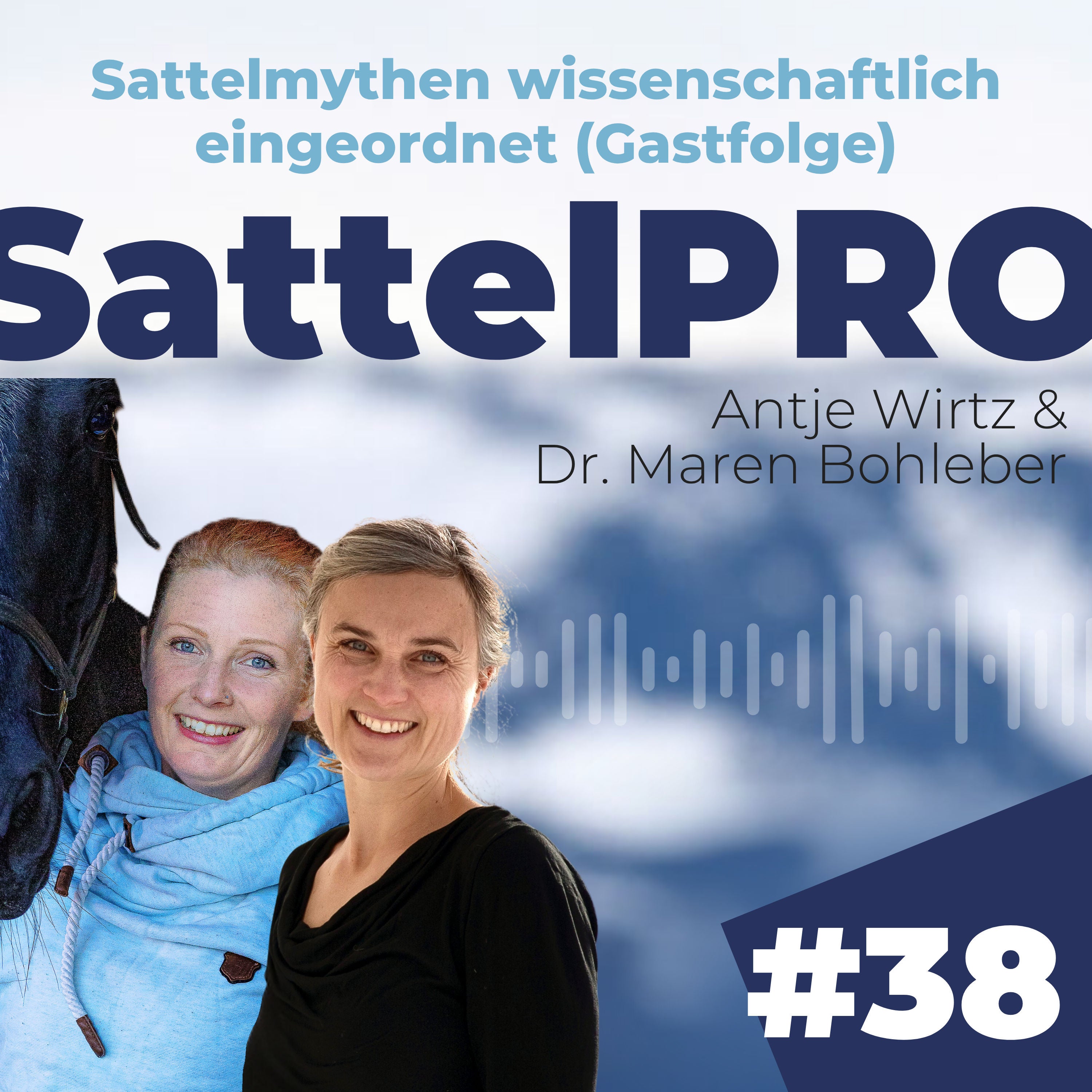 #38 Sattelmythen wissenschaftlich eingeordnet | zu Gast bei Antje Wirtz