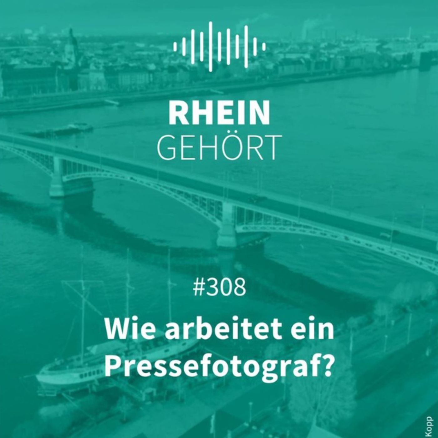 #308 - Wie arbeitet ein Pressefotograf?