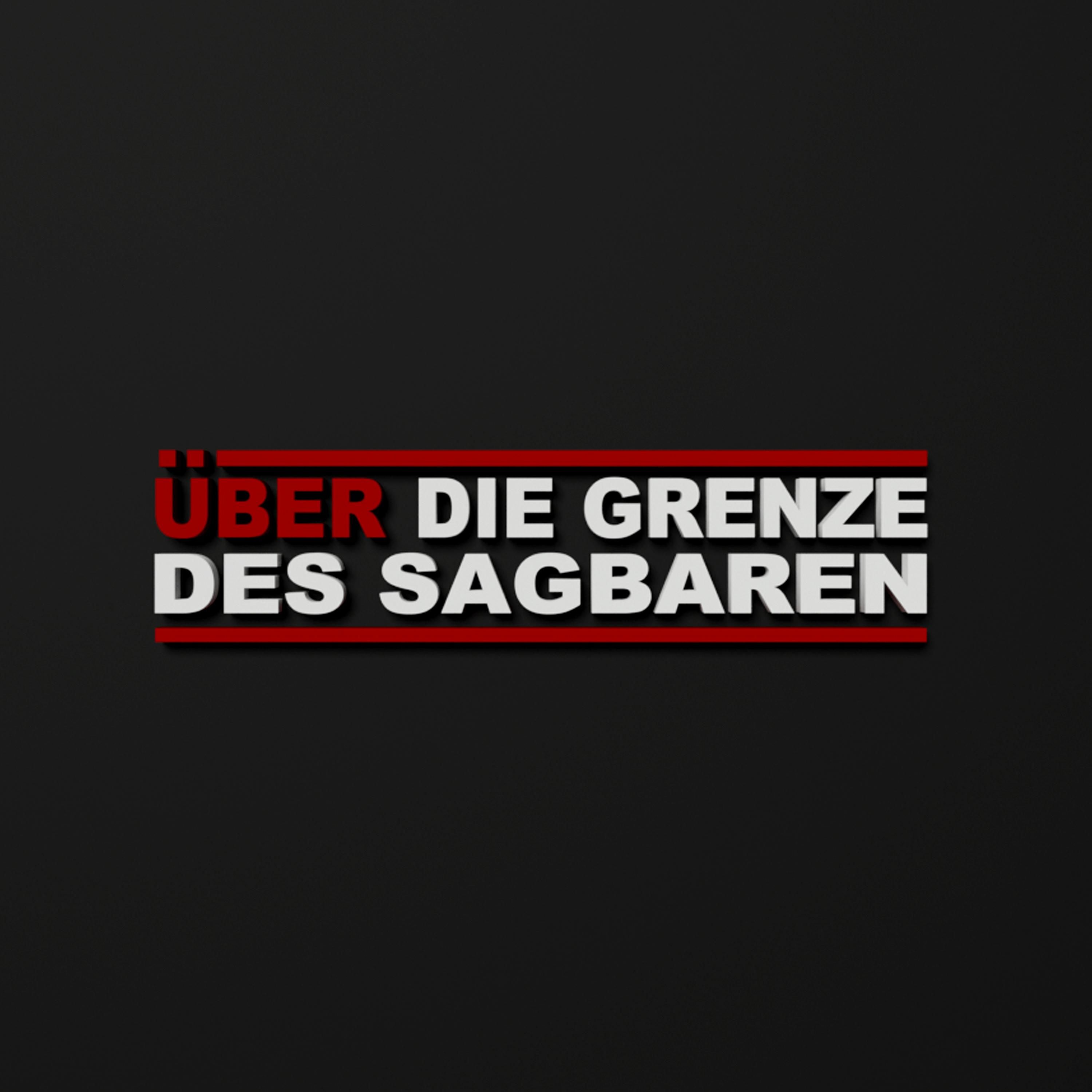 #003.1 Sachsen-Anhalt vor der Wahl - mit Robert Fietzke von der Zora Halberstadt