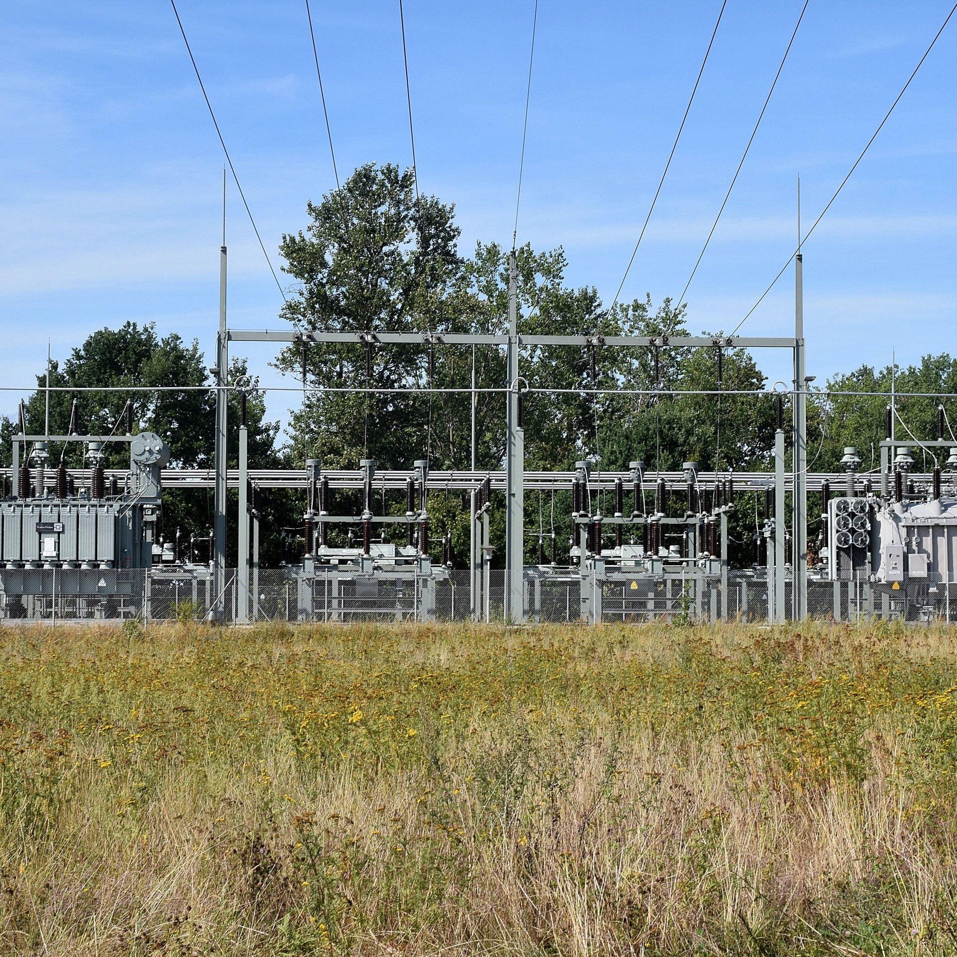 Wie die Verteilnetze fit für die Energiewende werden
