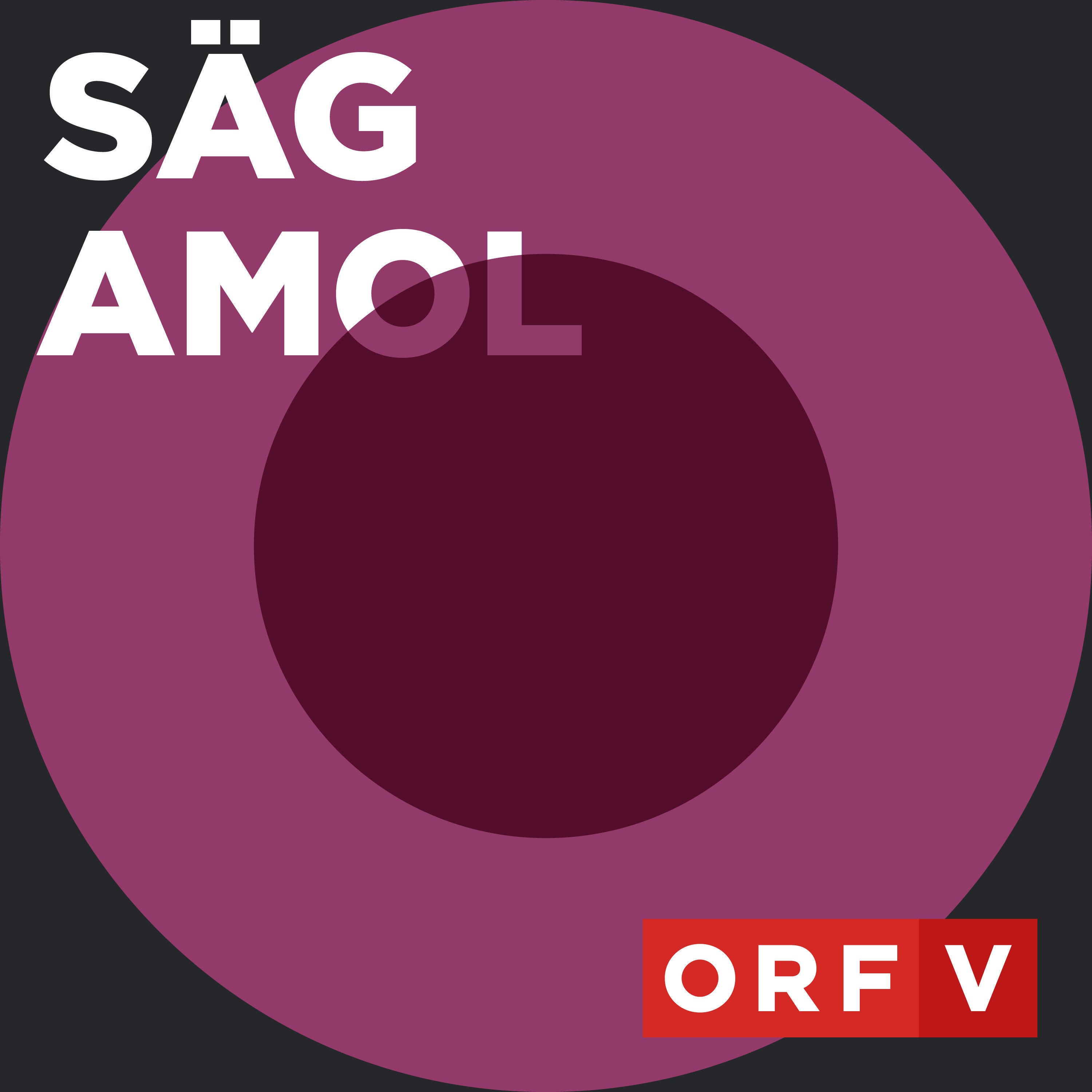 Säg amol