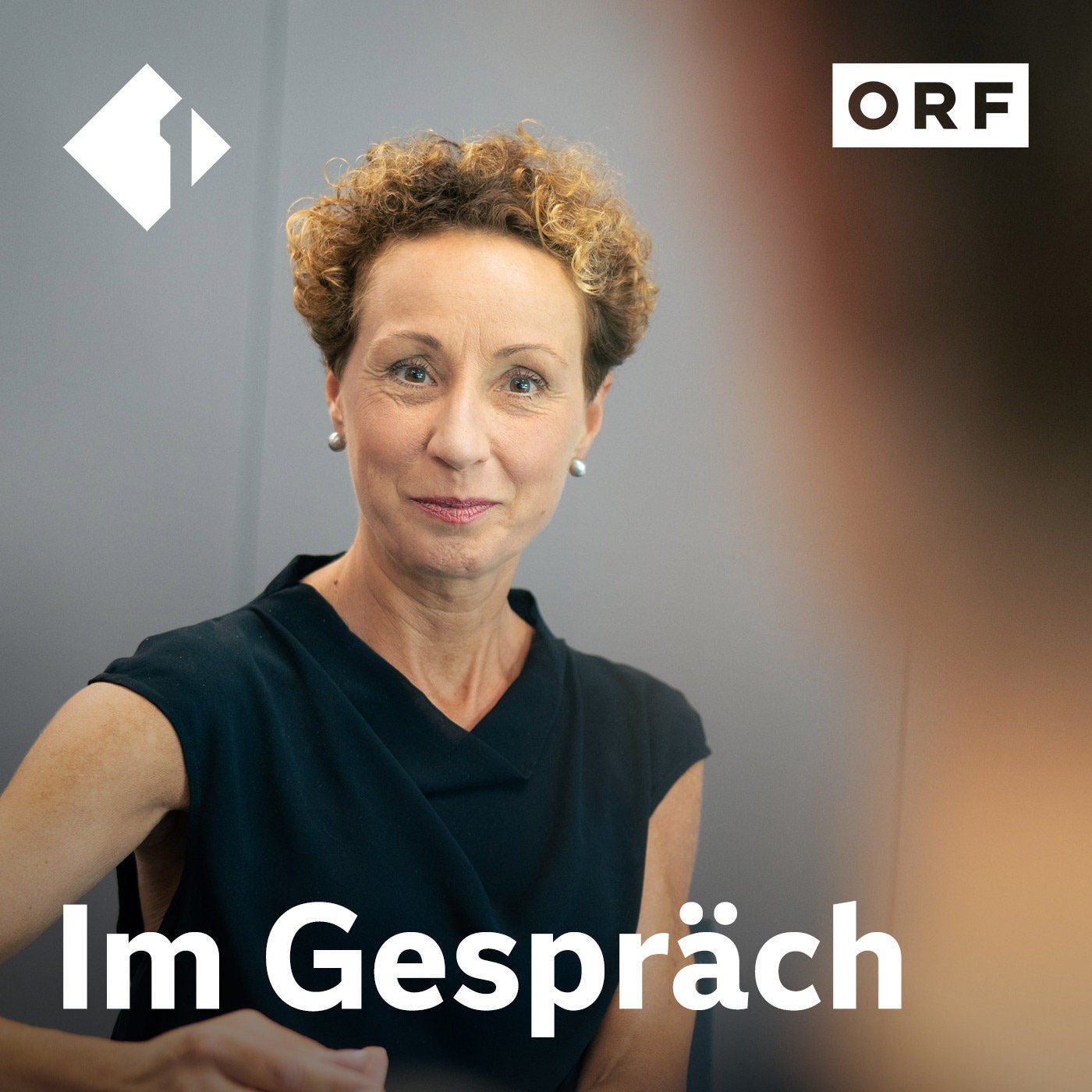 Krisztina Rozgonyi, Juristin und Medienwissenschaftlerin