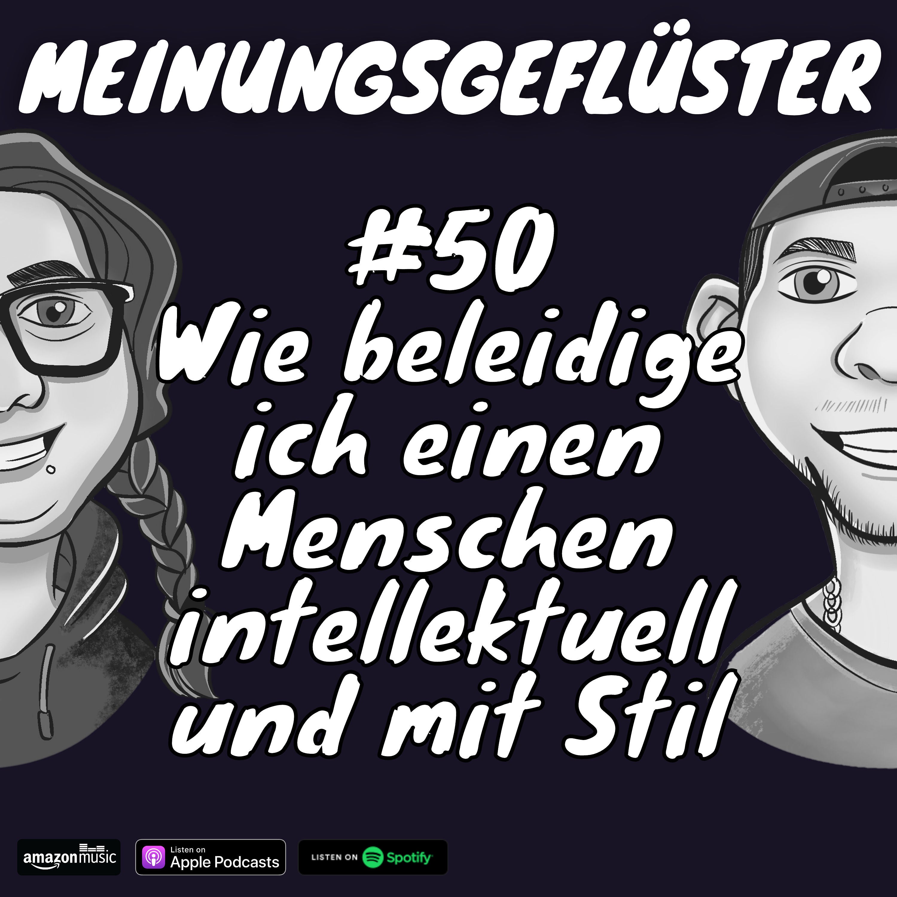 #50 Wie beleidige ich einen Menschen intellektuell und mit Stil