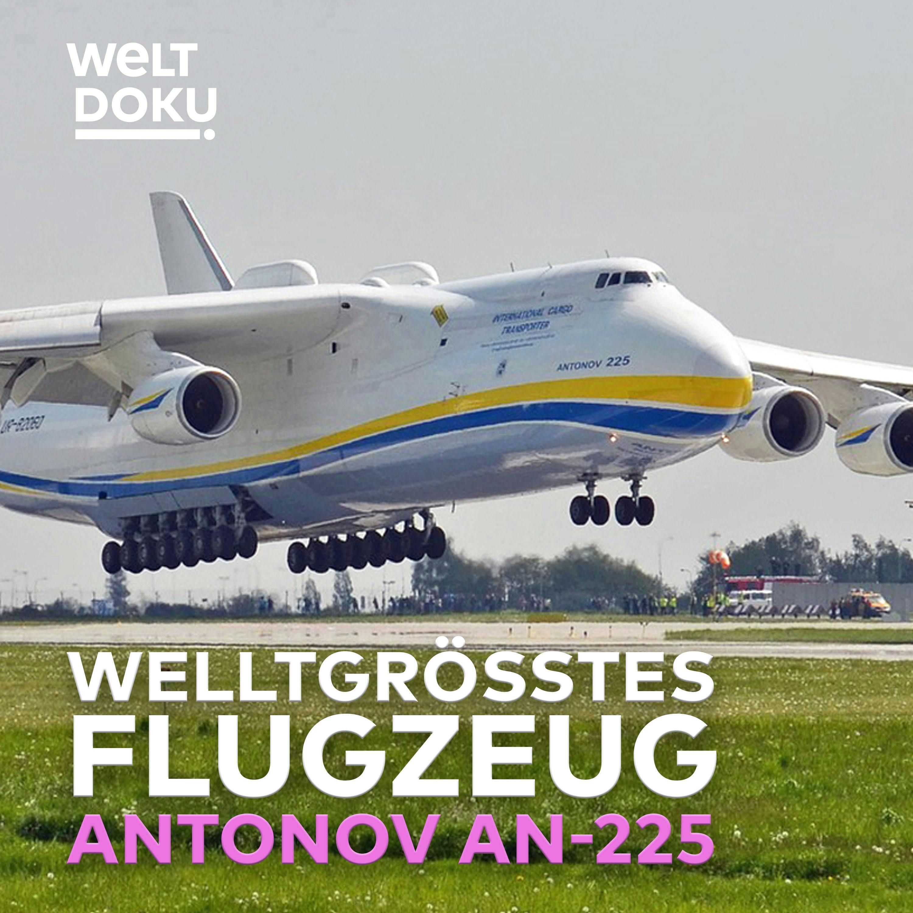 ANTONOV AN-225: 6 Triebwerke, 250 Tonnen Fracht - das größte Flugzeug der Welt | WELT DOKU