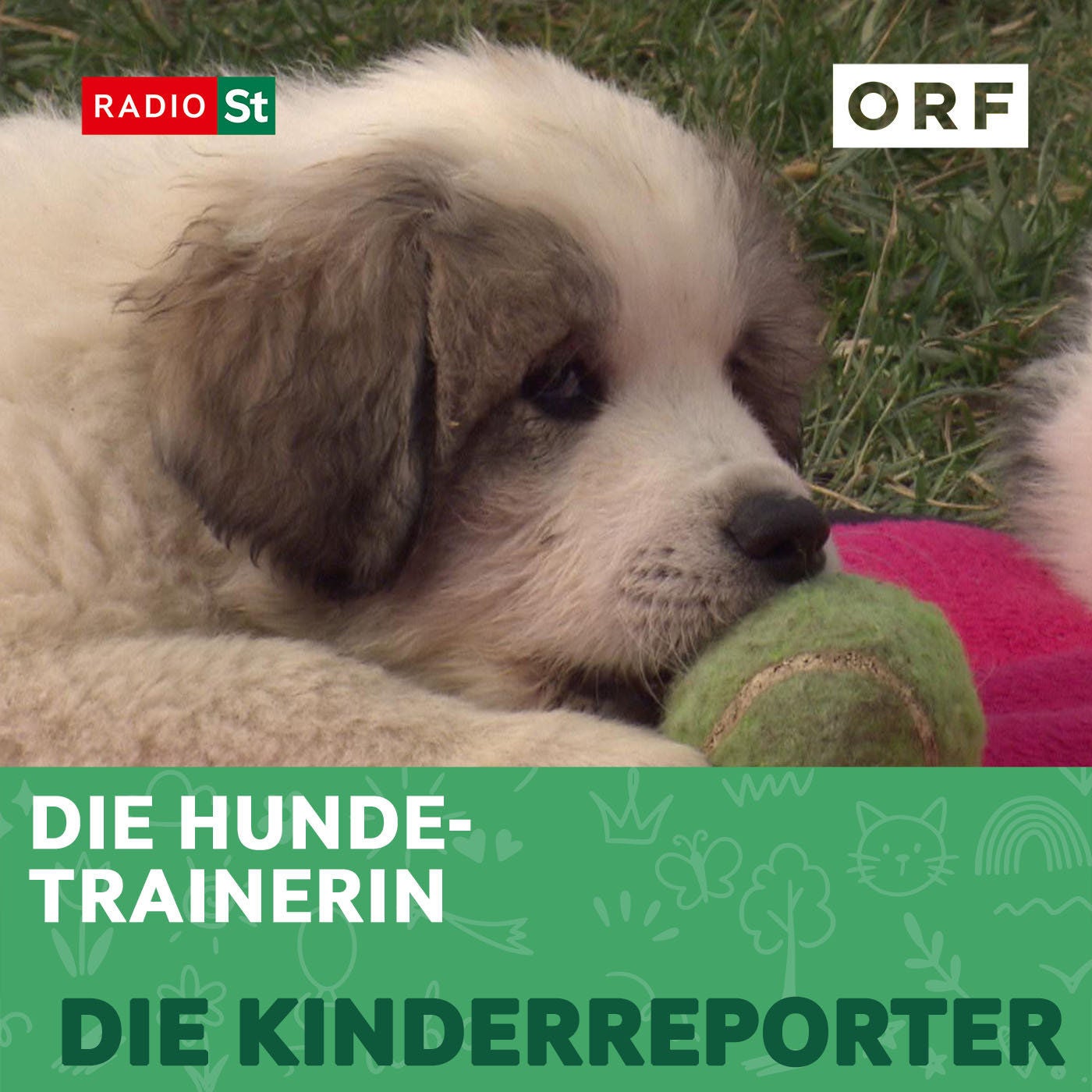Die Hundetrainerin