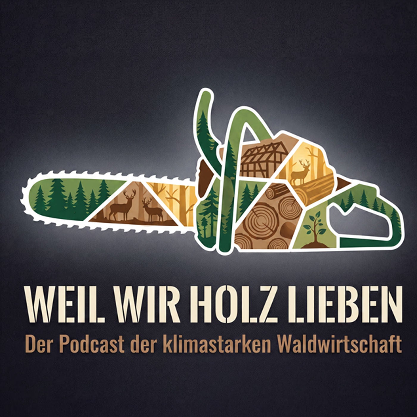 Wald im Wandel: Forstministerin Marion Gentges über klimastarke Wälder, Holzbau und die Zukunft der Forstwirtschaft